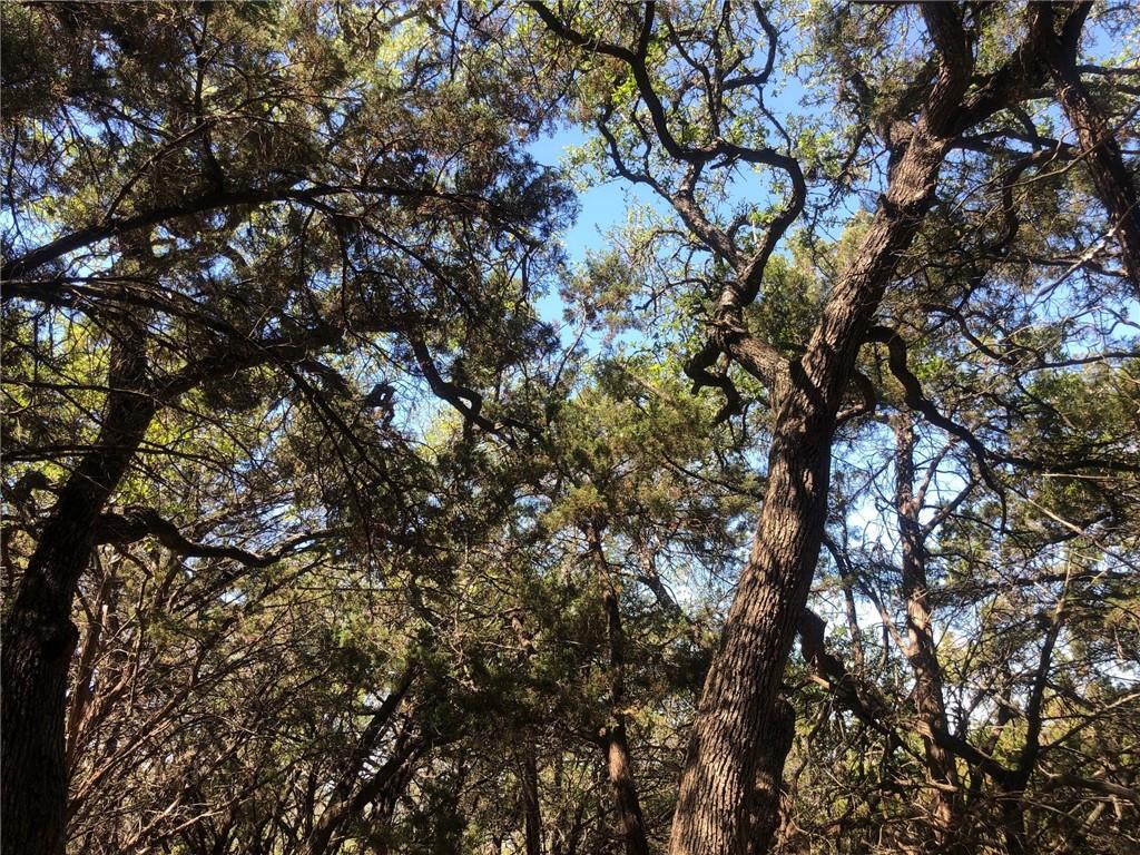69 Dawn DR, Lago Vista, TX 78645