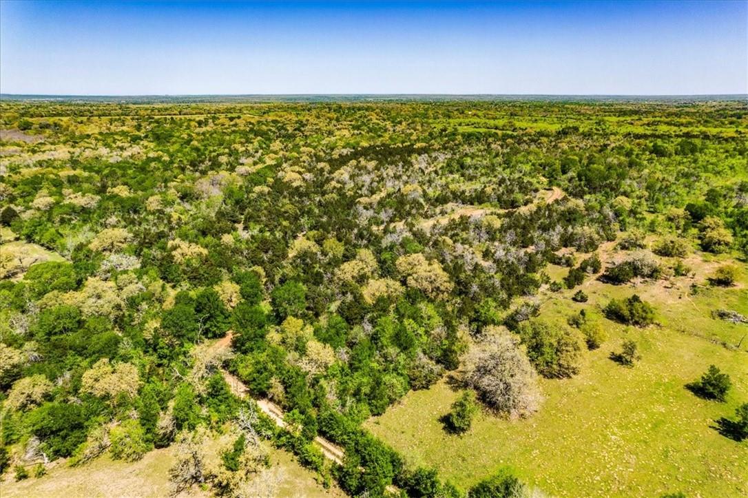 497 Mount Pleasant RD #A, Cedar Creek, TX 78612