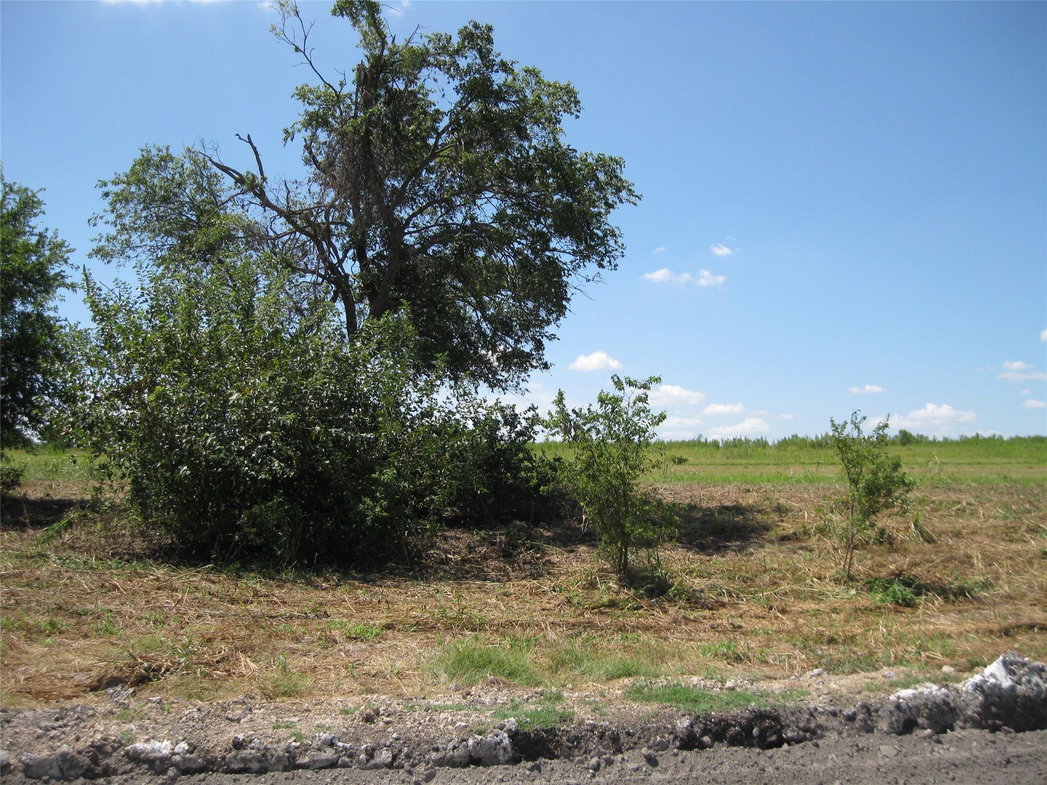 00 County Road 133, Hutto, TX 78634