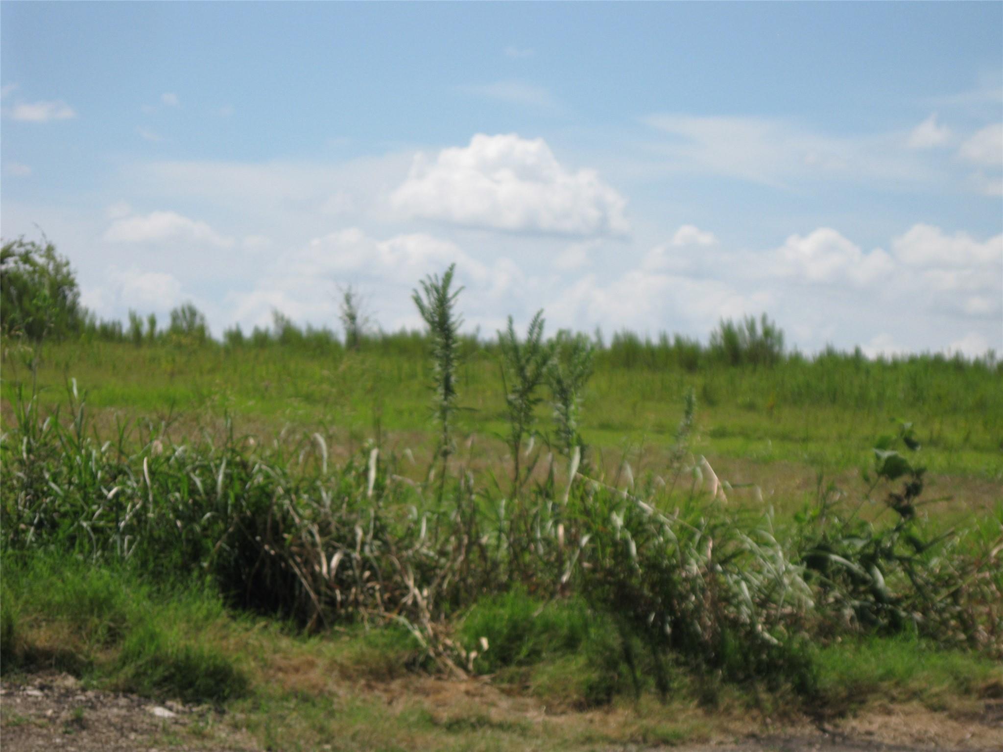 00 County Road 133, Hutto, TX 78634