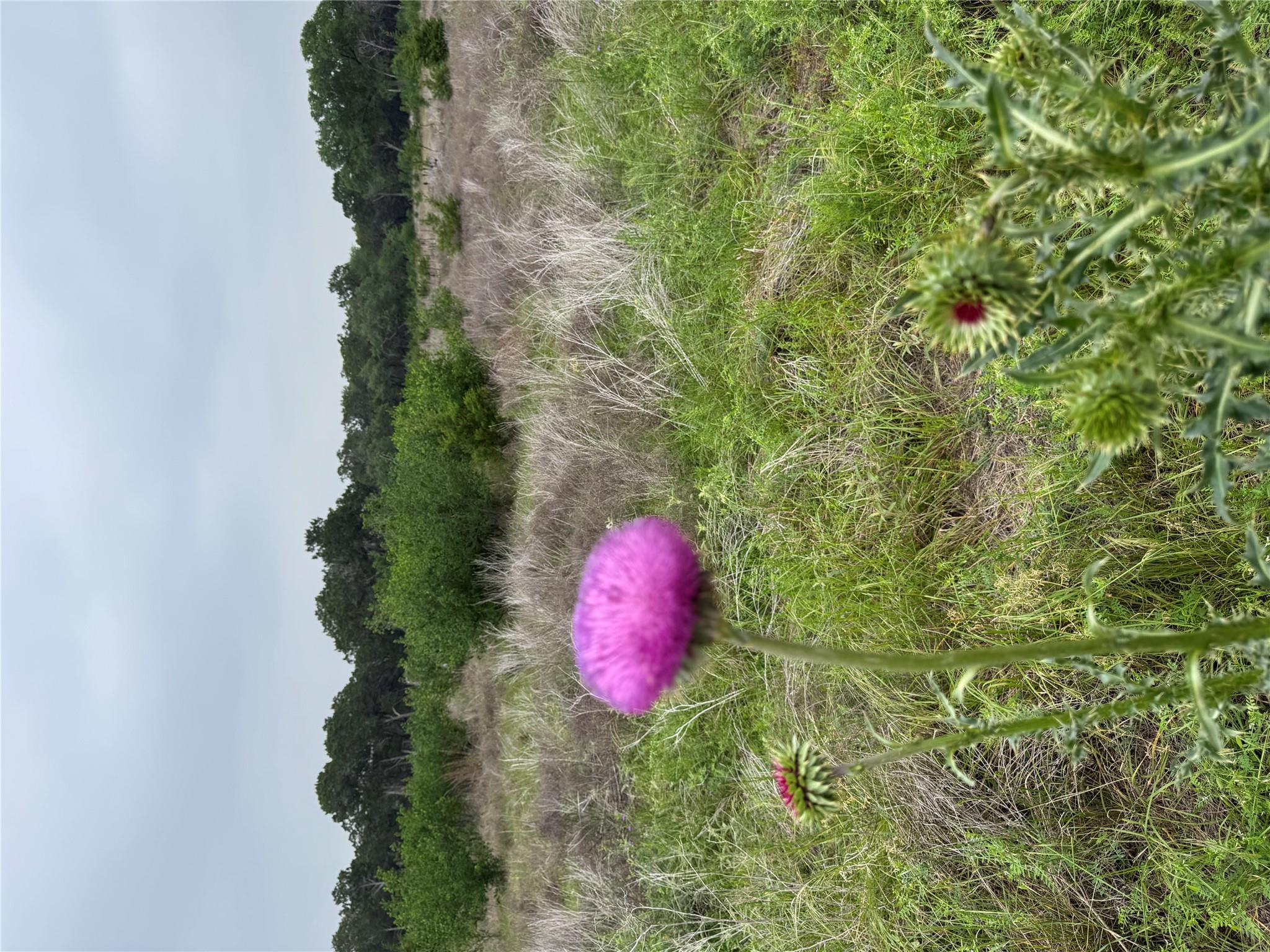 Lot 52 Clearwater Canyon RD, Bandera, TX 78003