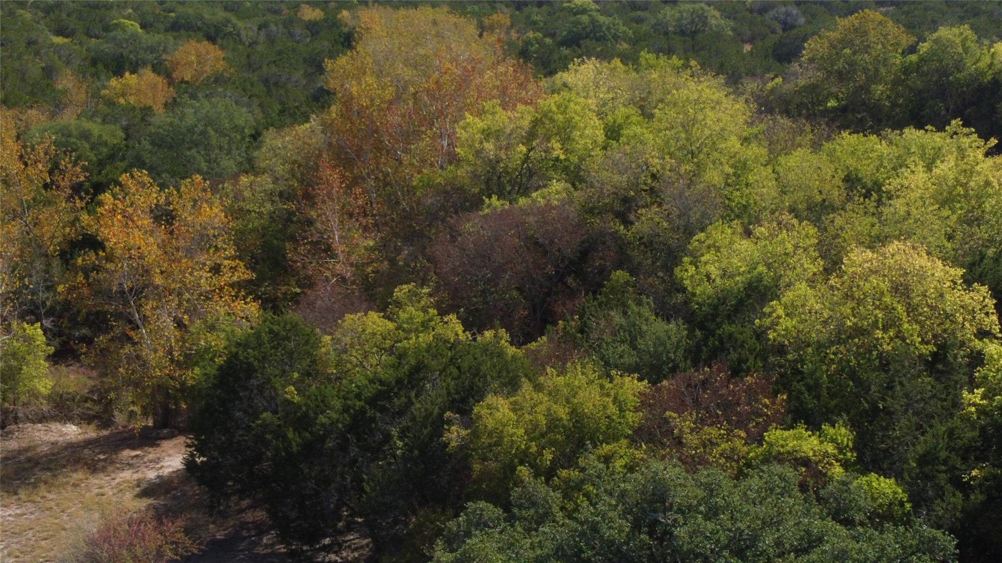8170 N Us Hwy 281 Hw, Blanco, TX 78606