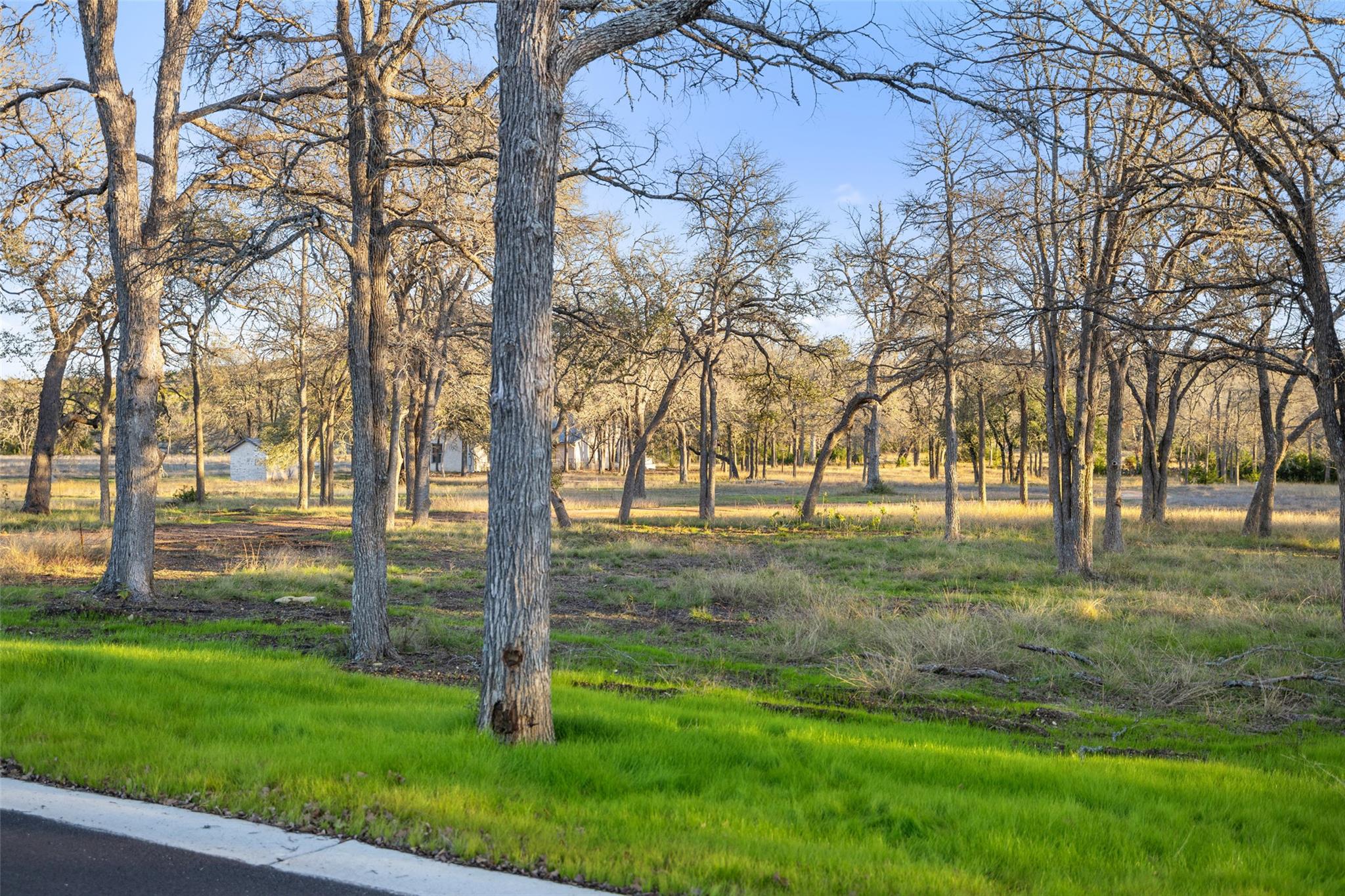Lot 25 Mesa Ranch RD, Dripping Springs, TX 78620
