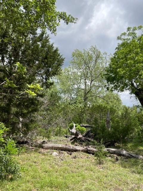 2250 Walter White RD, Leakey, TX 78873