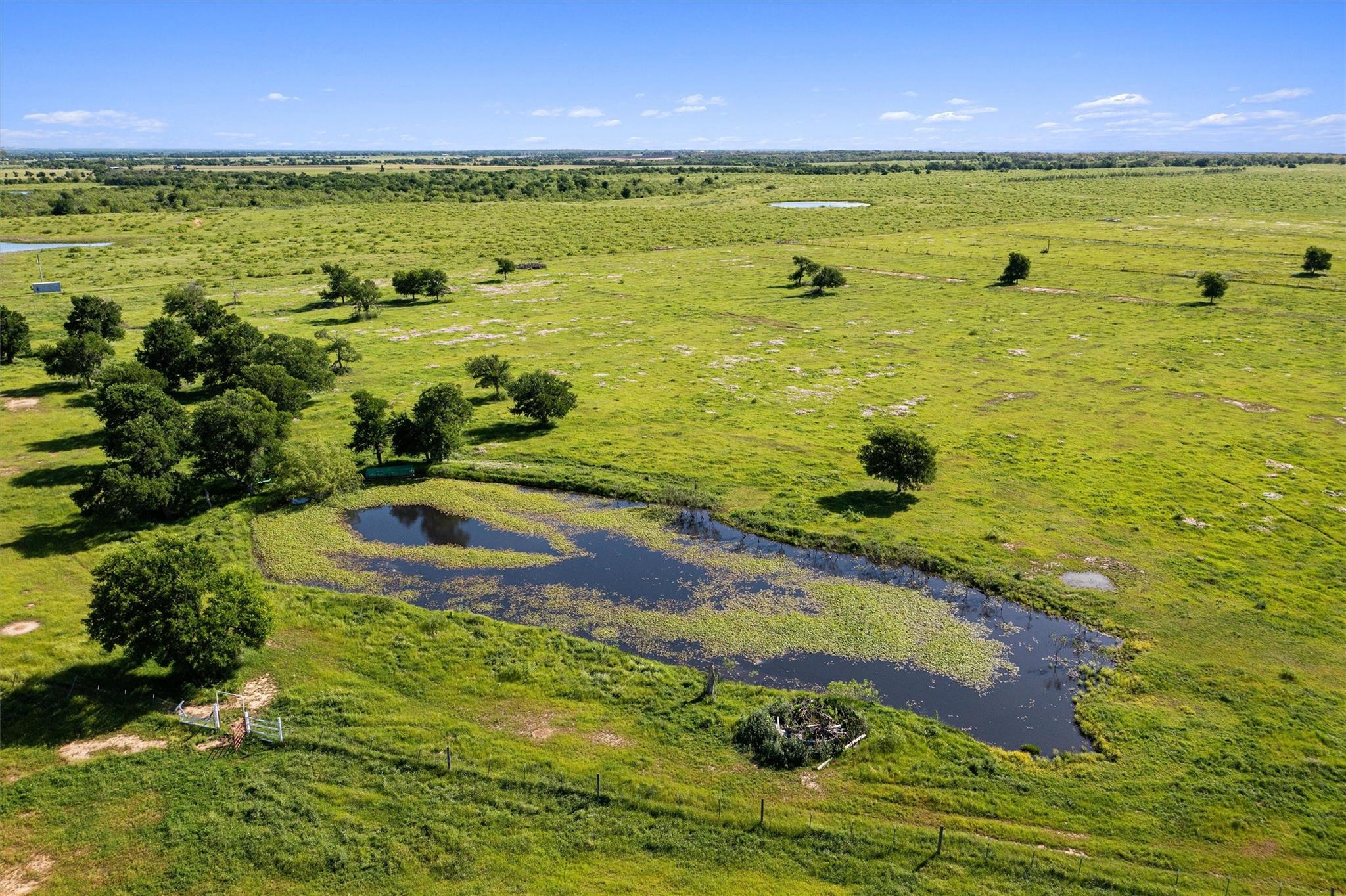 459 County Road 450, Thorndale, TX 76577