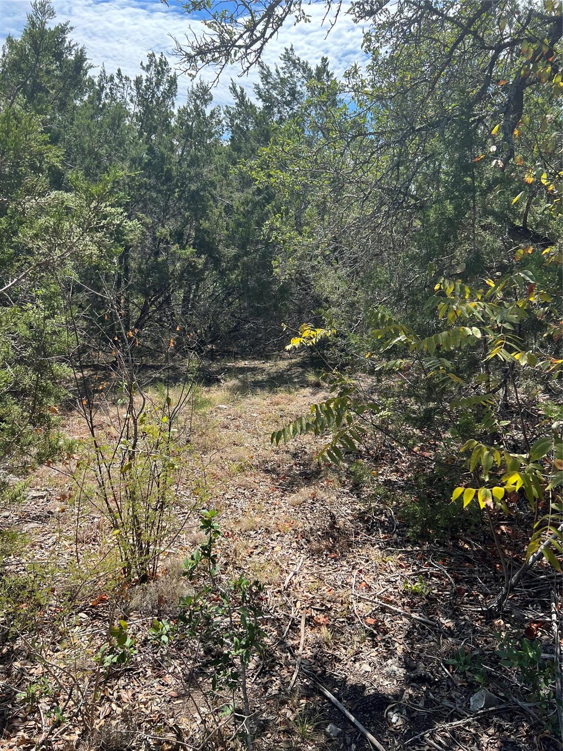 20700 Overland TRL, Lago Vista, TX 78645