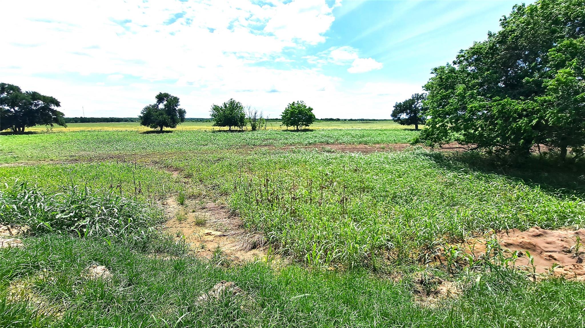 Tract 3 County Road 432 RD, Rockdale, TX 76567