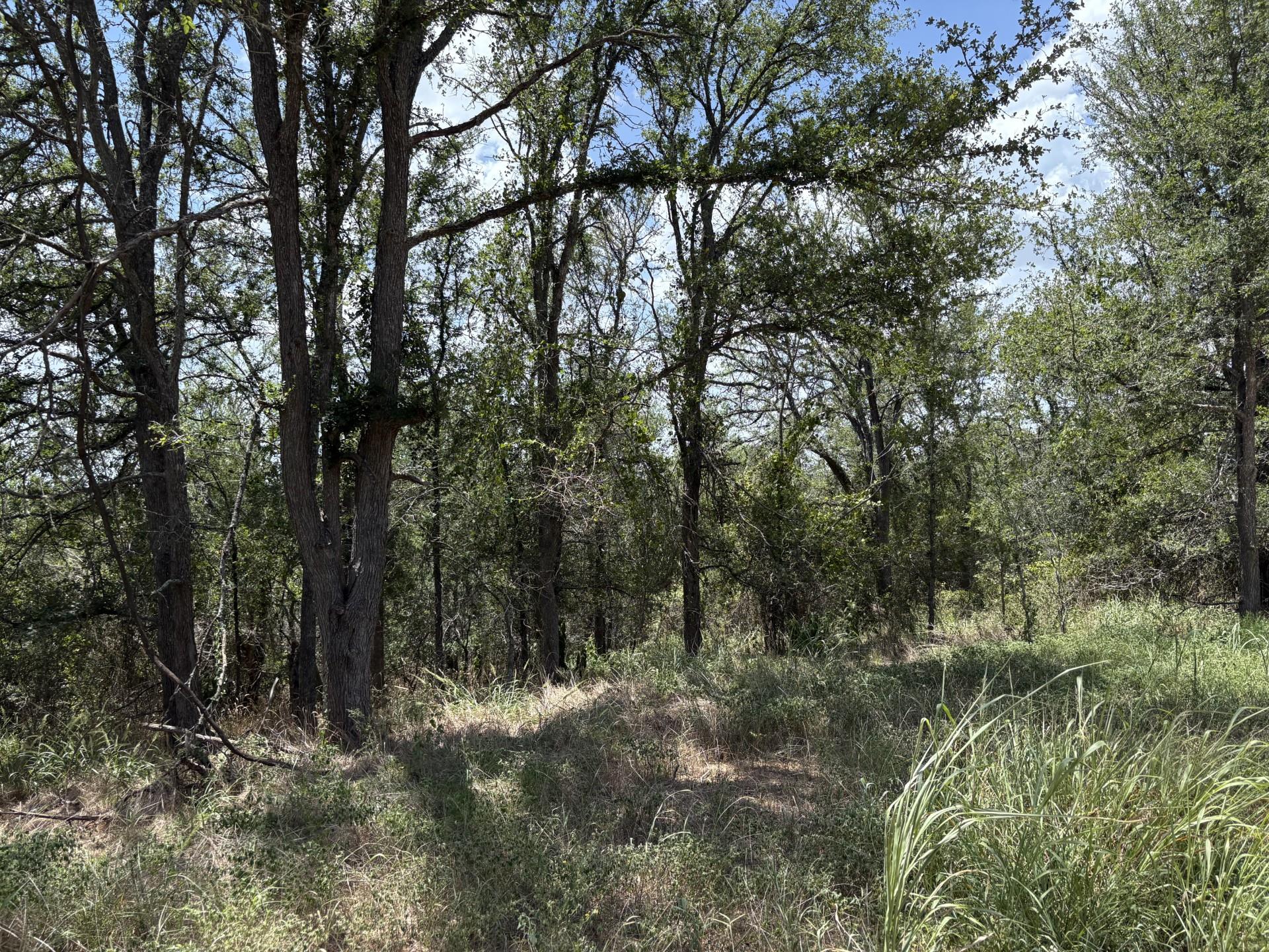 TBD Honolulu LN, Bastrop, TX 78602