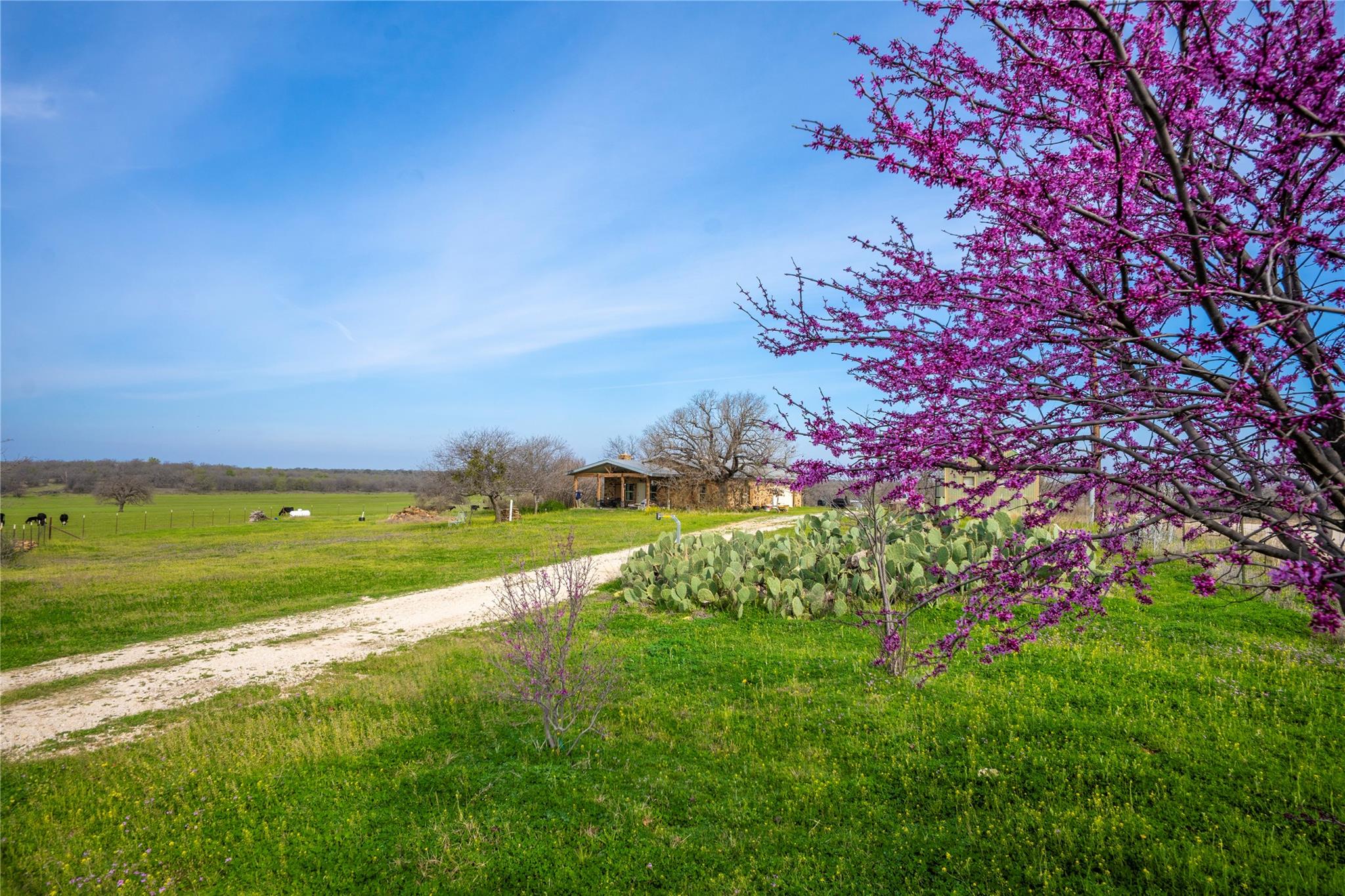 TBD Cr 260, Richland Springs, TX 76871