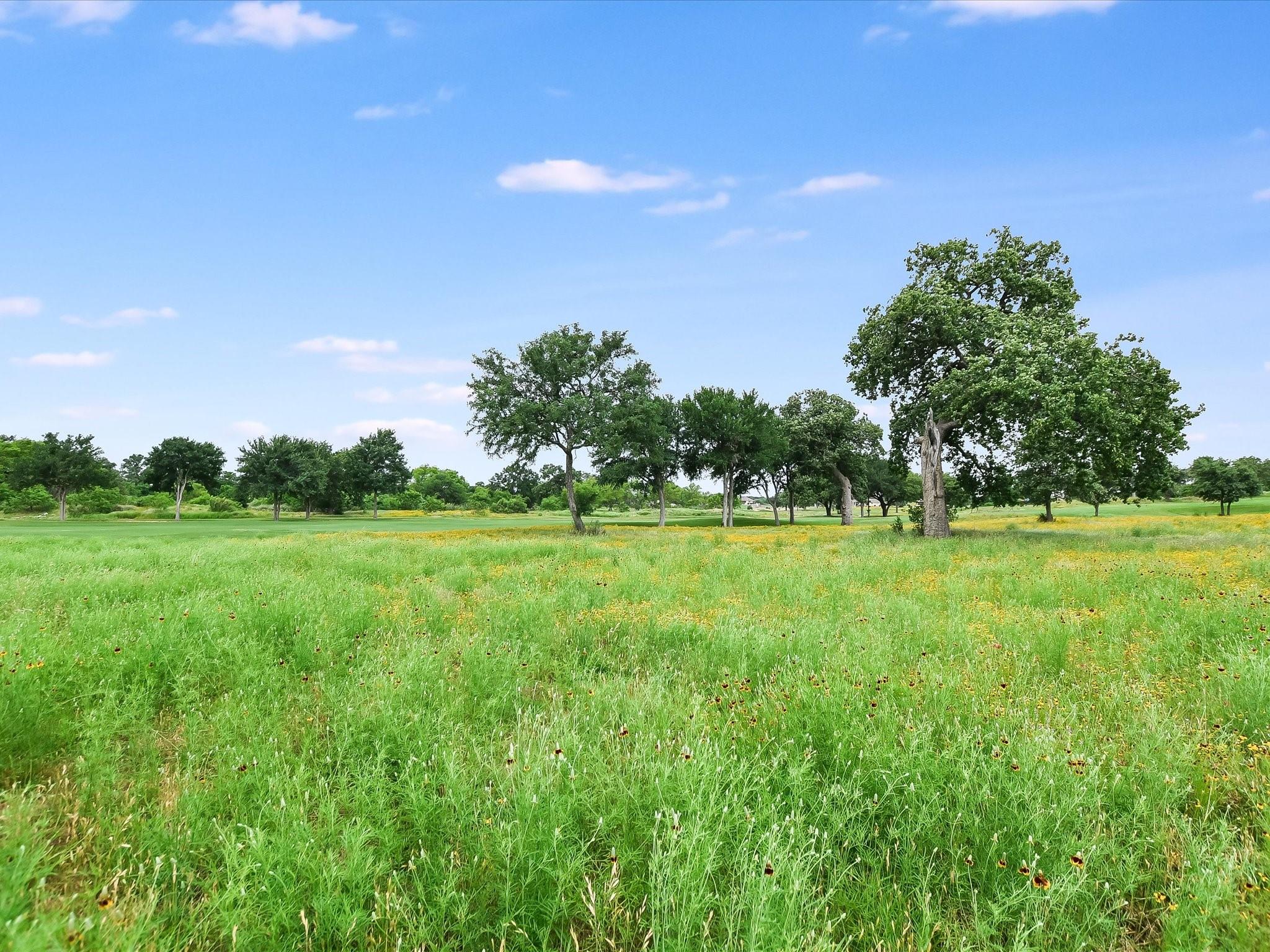 106 Bridalwood CT, Kingsland, TX 78639