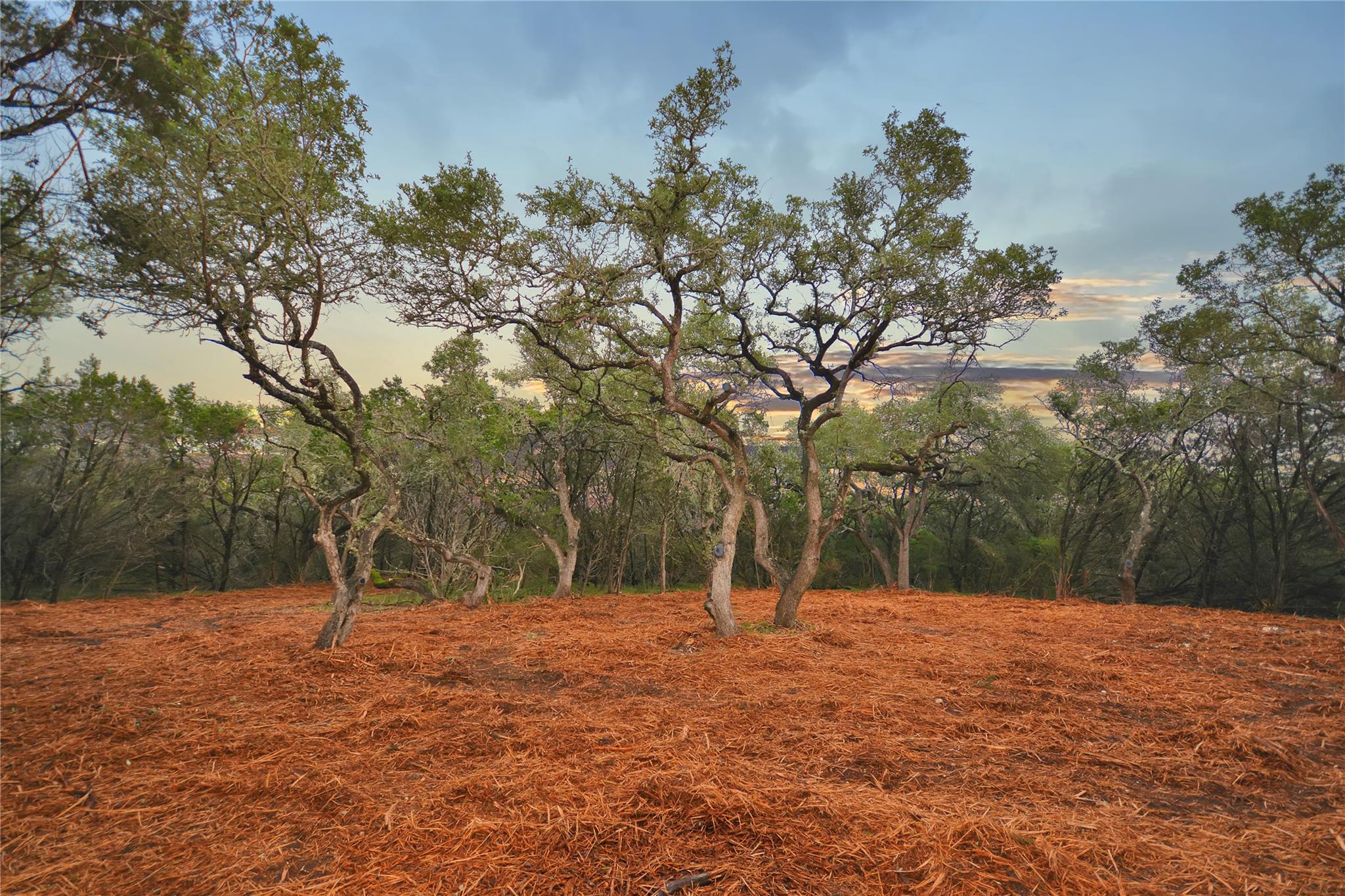 LOT 17 Sierra Loma DR, Wimberley, TX 78676