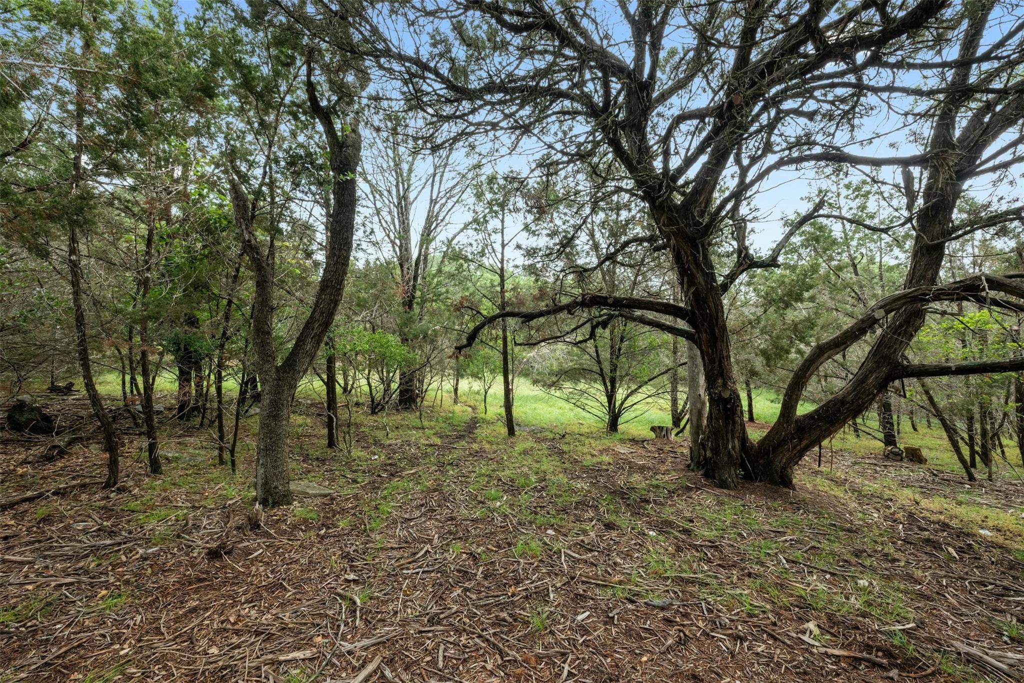 1005 Covered Bridge DR, Driftwood, TX 78619