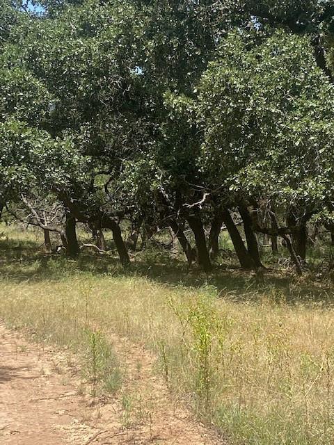 3 Becky LN, Bertram, TX 78605