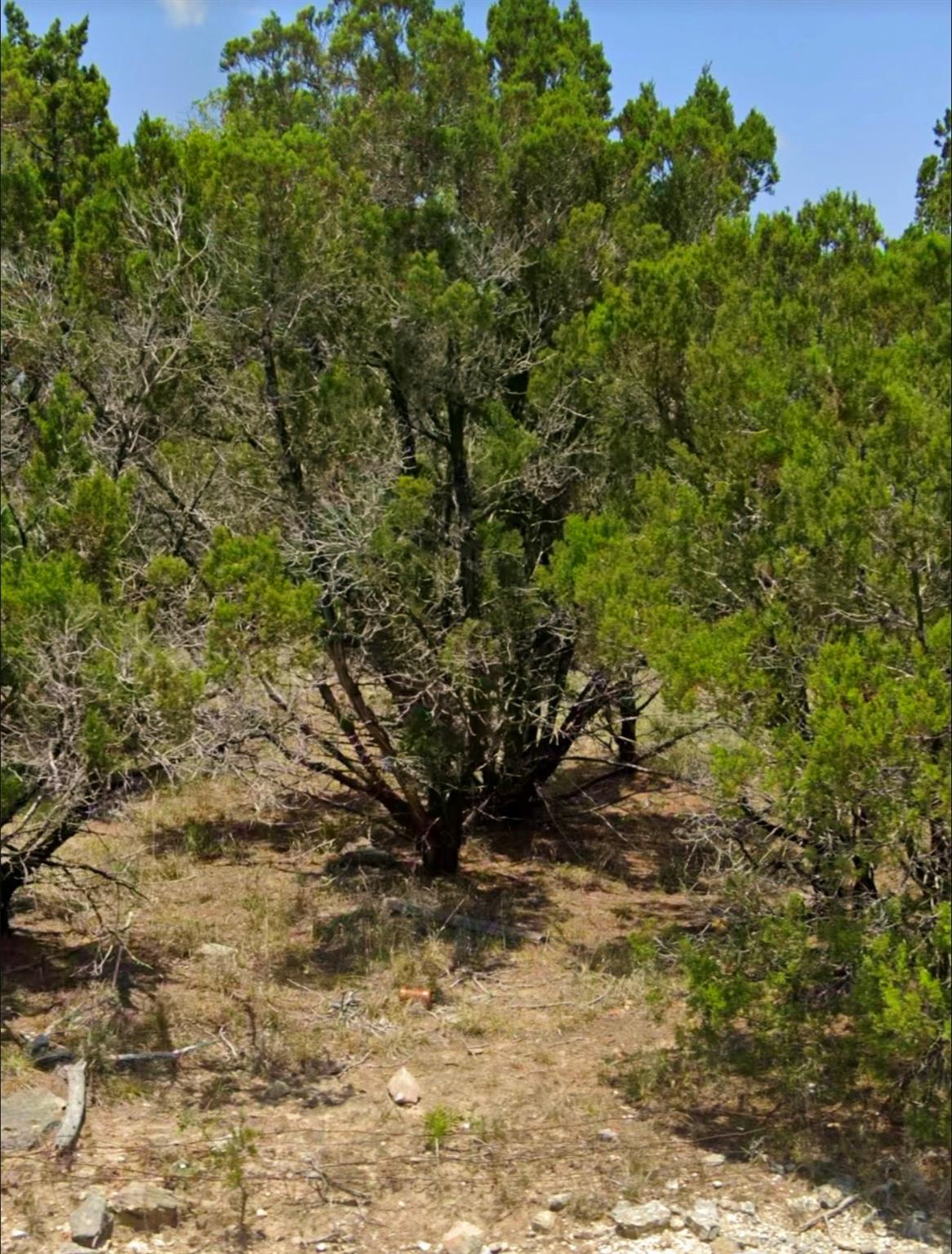 1001 Oblate DR, Canyon Lake, TX 78133
