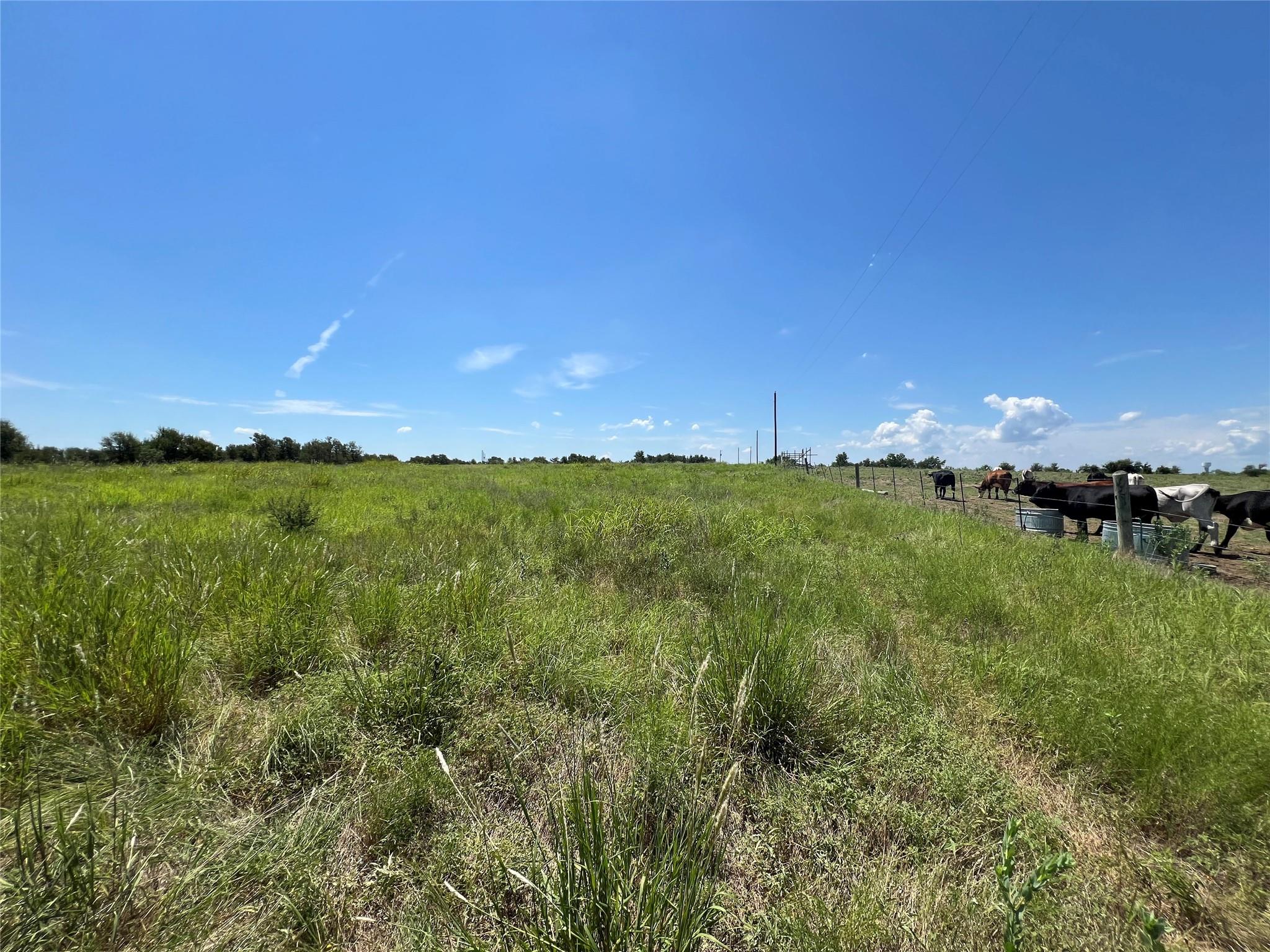 2600 Cr 466, Elgin, TX 78621