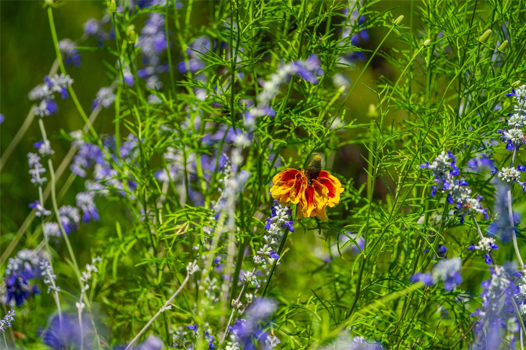 0 Jung RD, Fredericksburg, TX 78631