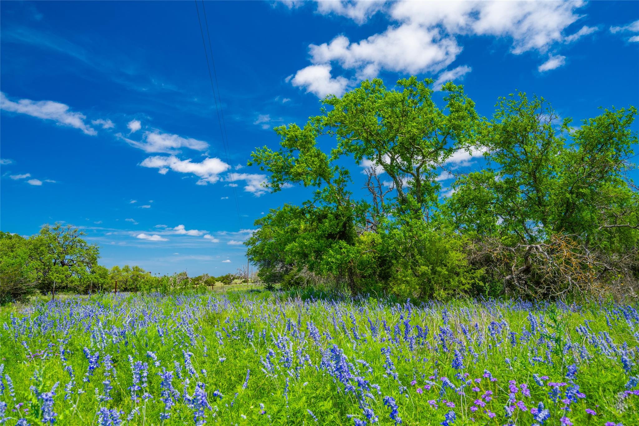 0 Jung RD, Fredericksburg, TX 78631
