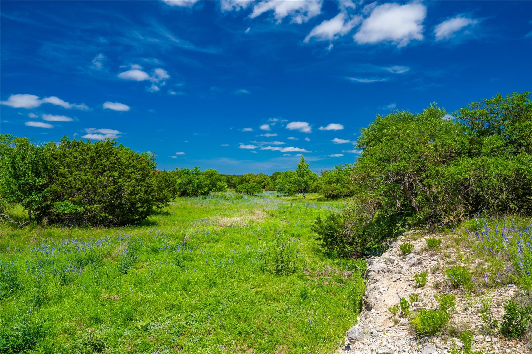 0 Jung RD, Fredericksburg, TX 78631