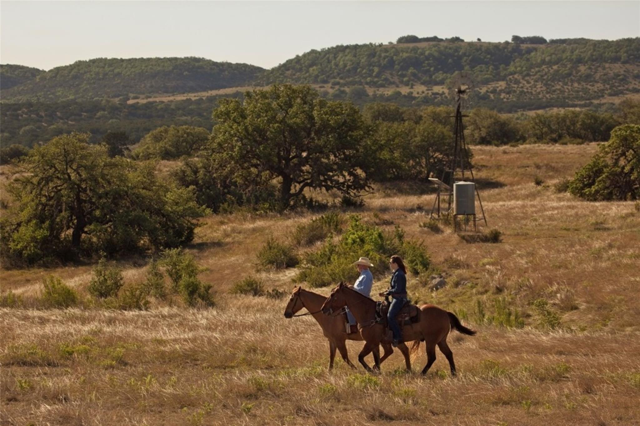613 Cattle Creek RD, Johnson City, TX 78636