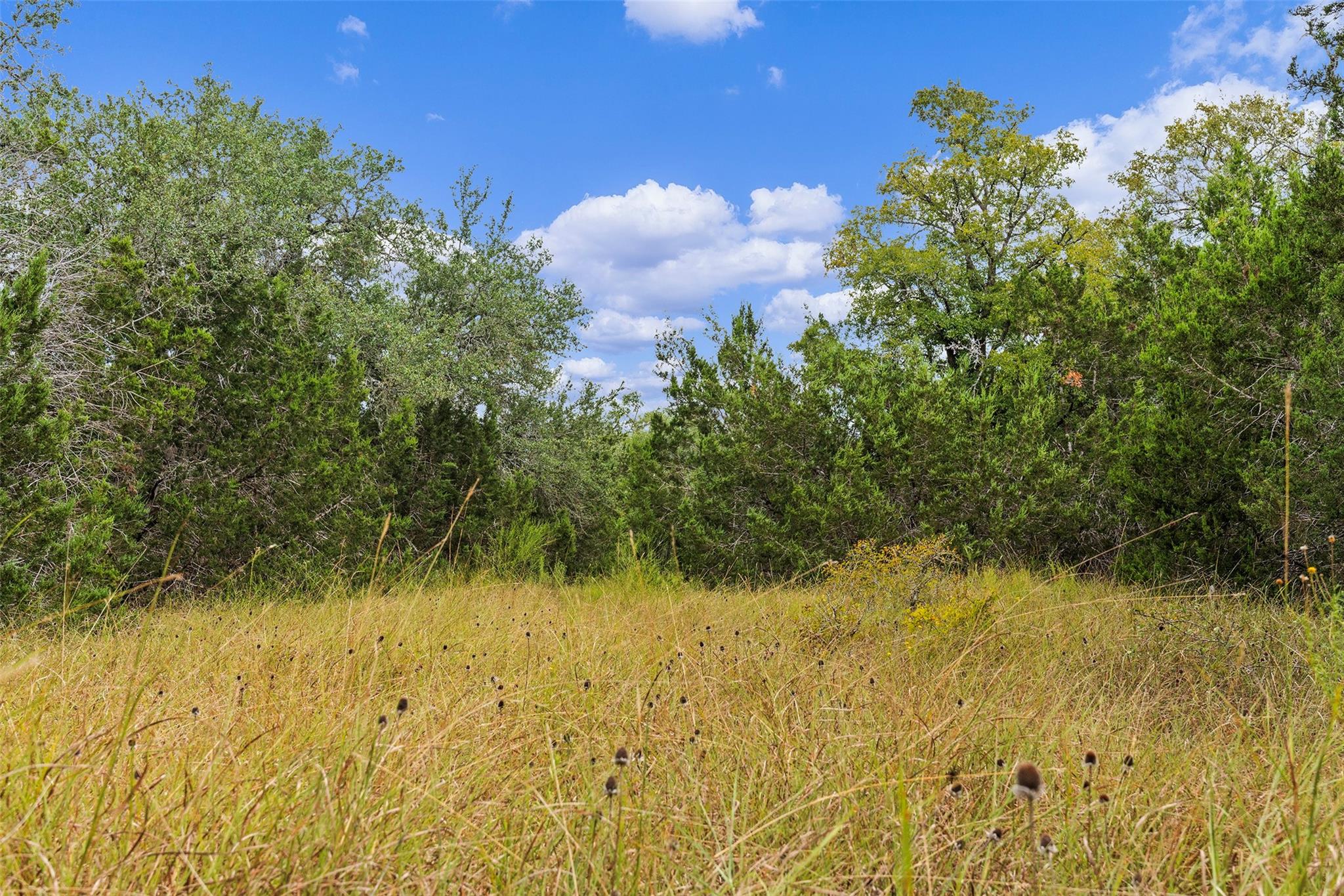 TBD Escarpment BLVD, Austin, TX 78739