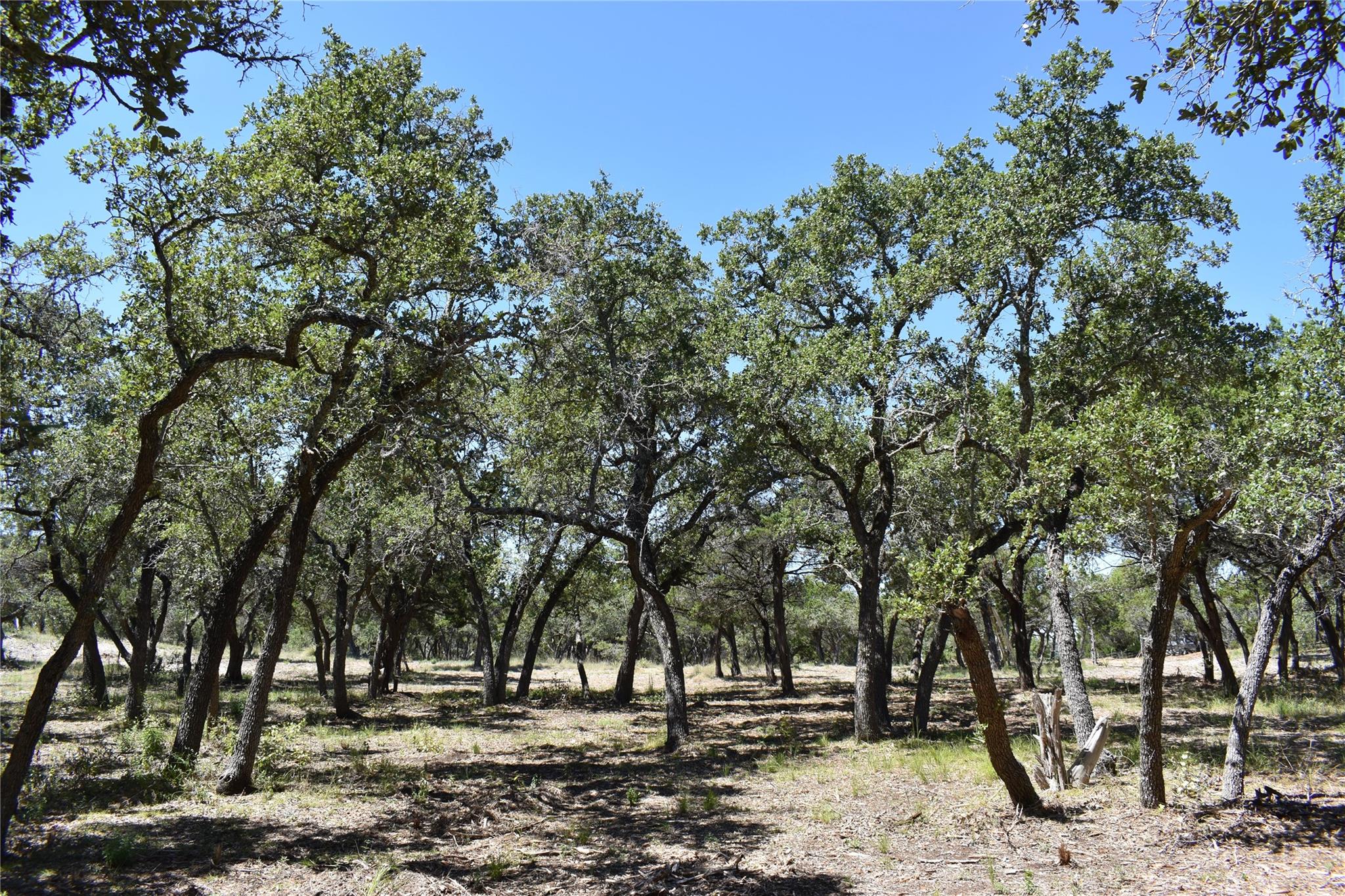 24369 Round Mountain RD #6, Leander, TX 78641