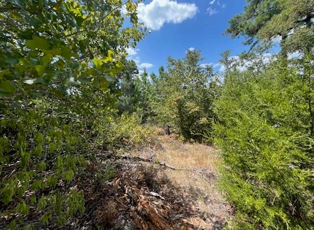 TBD Pine Tree Loop, Bastrop, TX 78602