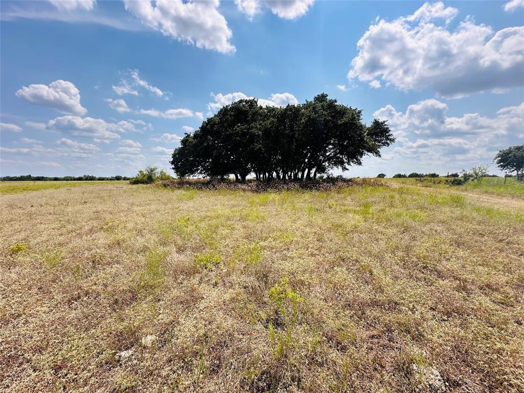 6985 County Road 200 RD, Liberty Hill, TX 78642