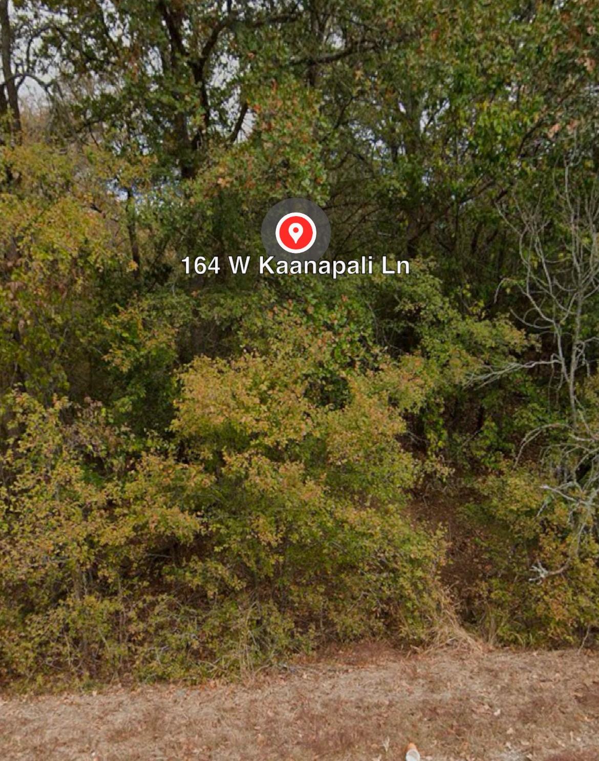 162 - 164 W Kaanapali LN, Bastrop, TX 78602
