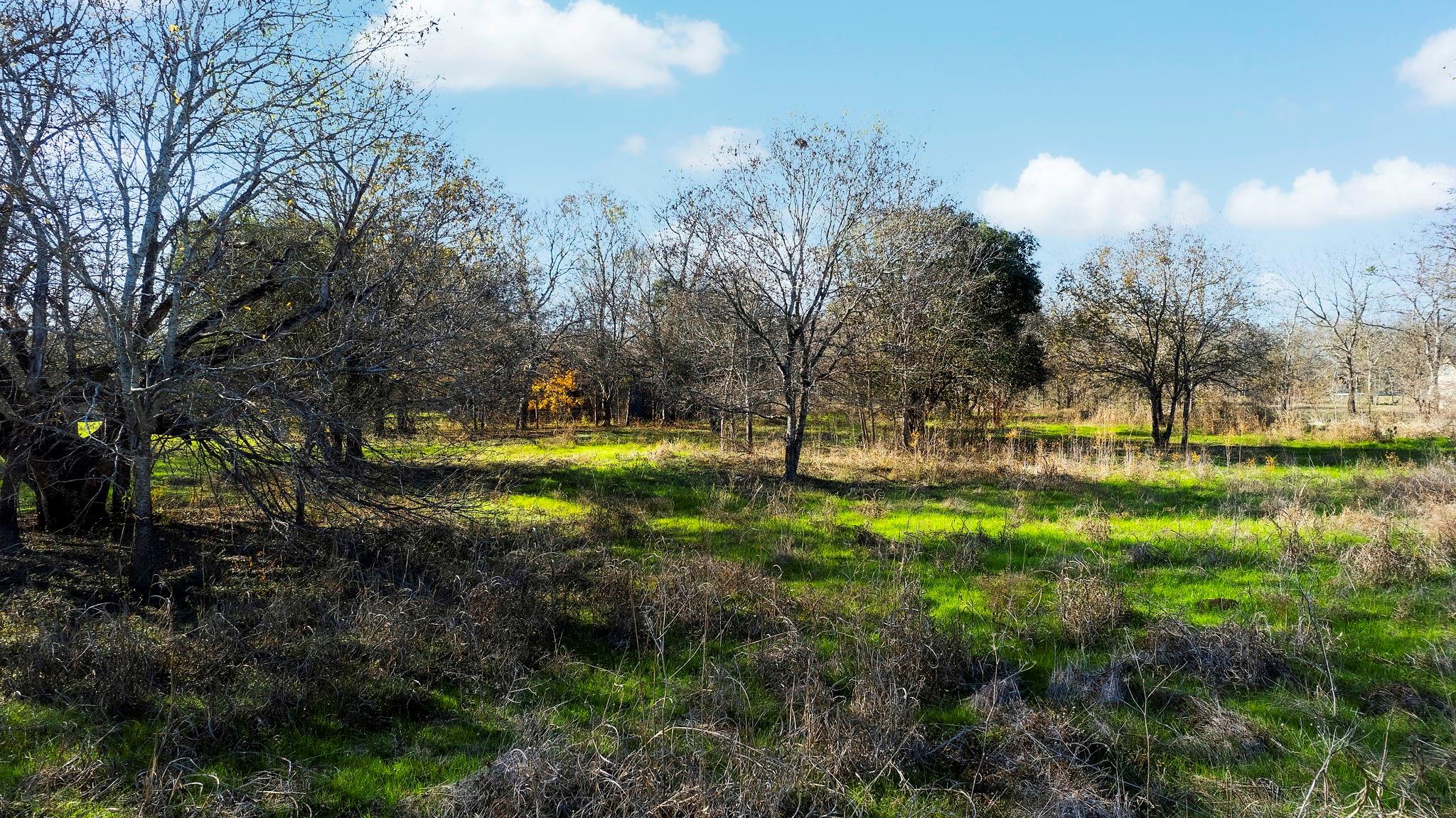 12406 Wirth RD, Manchaca, TX 78652