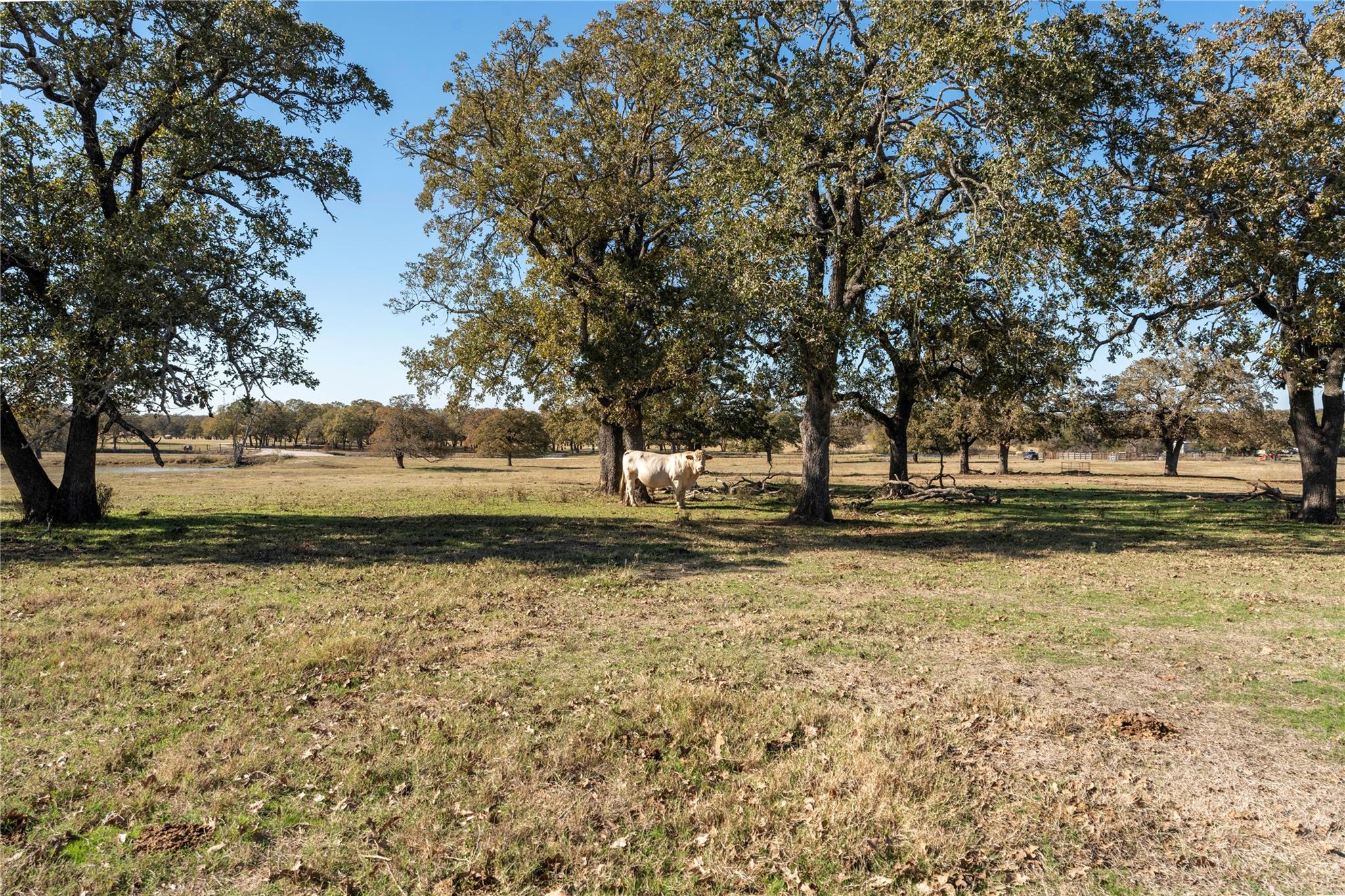 TBD County Road 481, Thrall, TX 76578