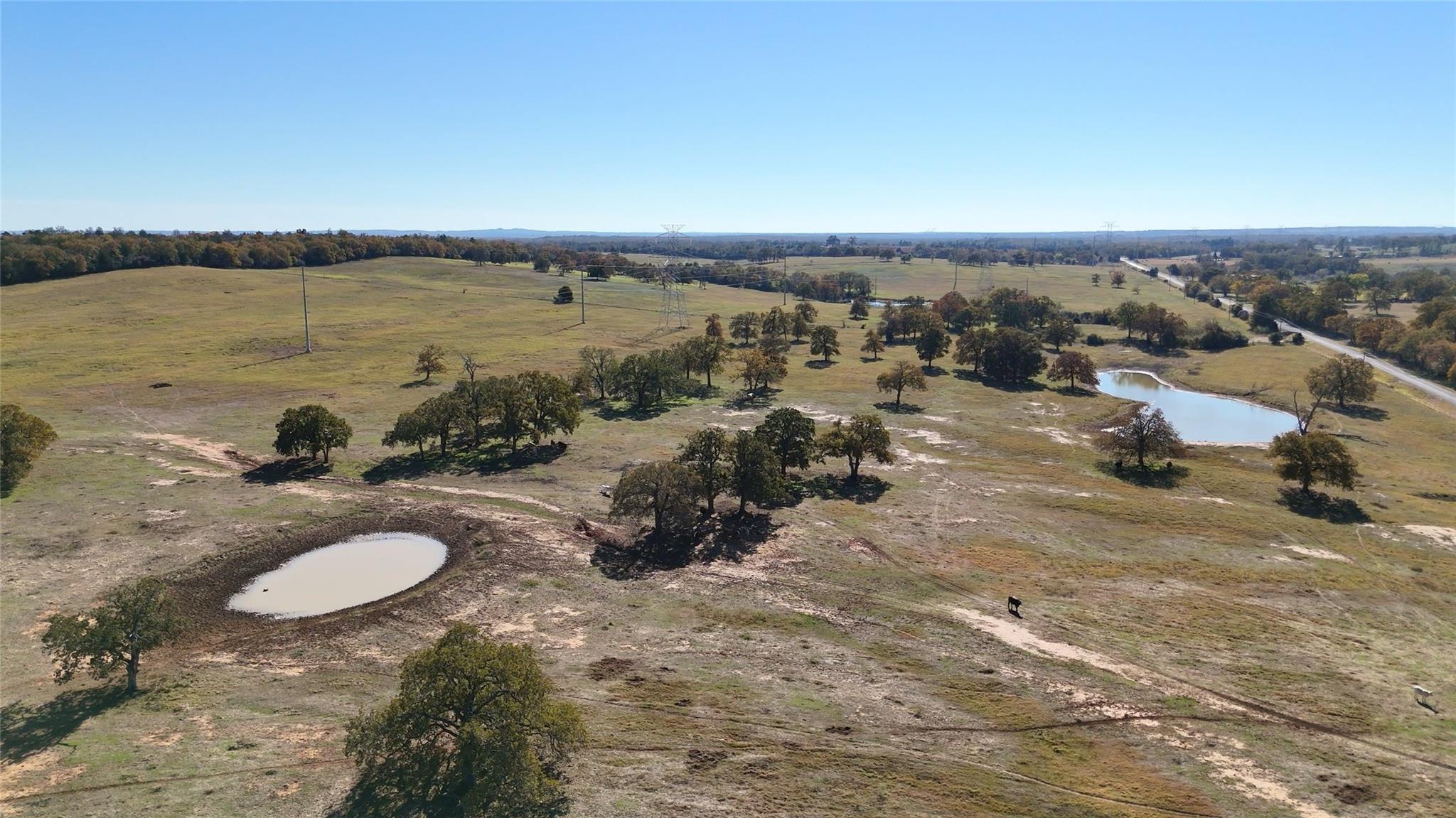 TBD County Road 481, Thrall, TX 76578