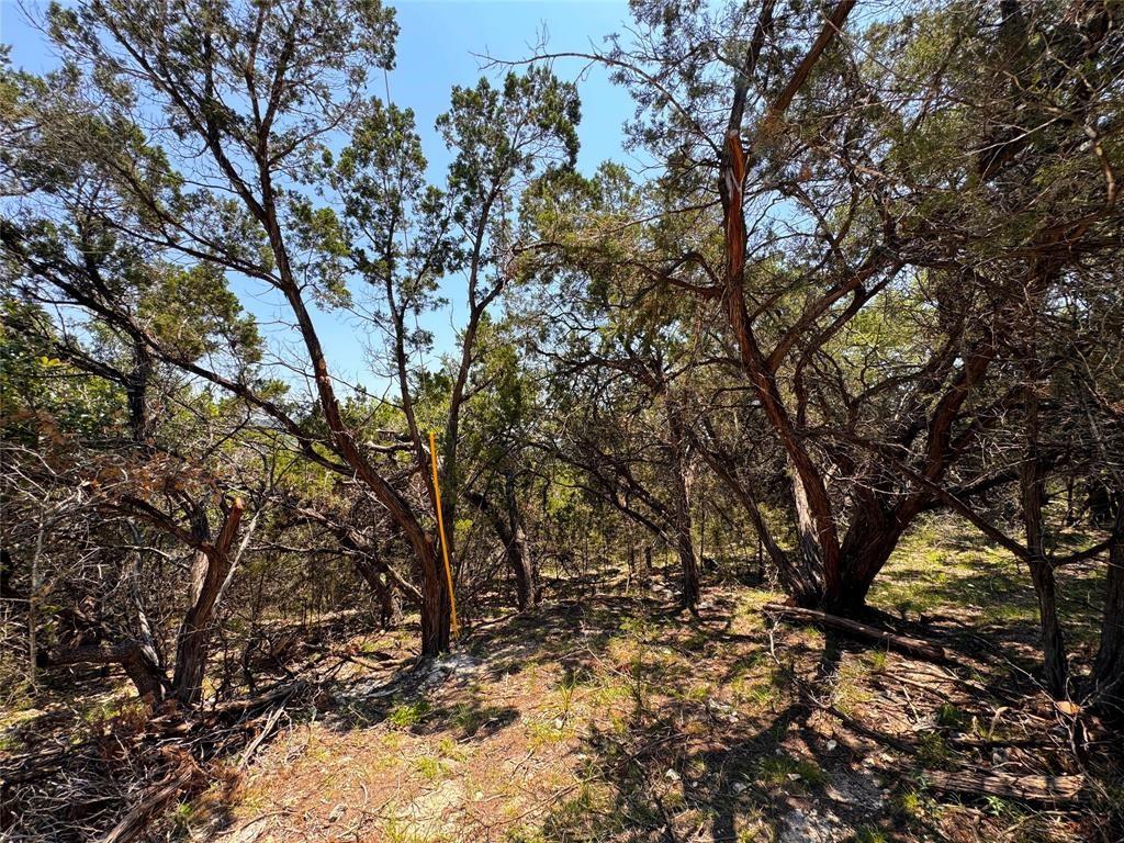557 Dusty Saddle, Canyon Lake, TX 78133