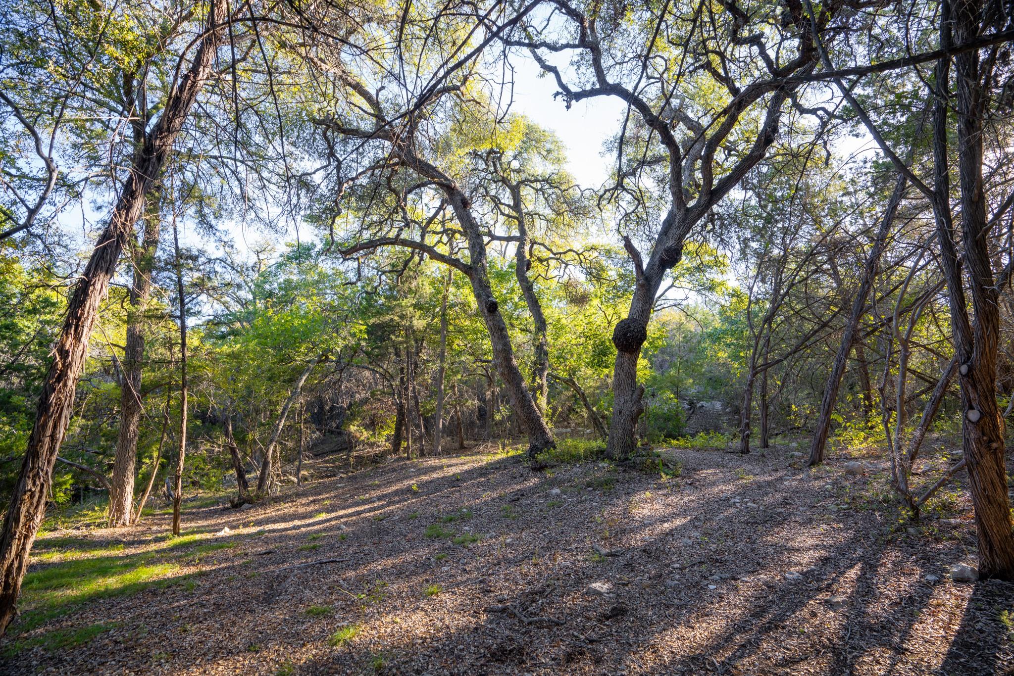 12737 Silver Creek RD, Dripping Springs, TX 78620