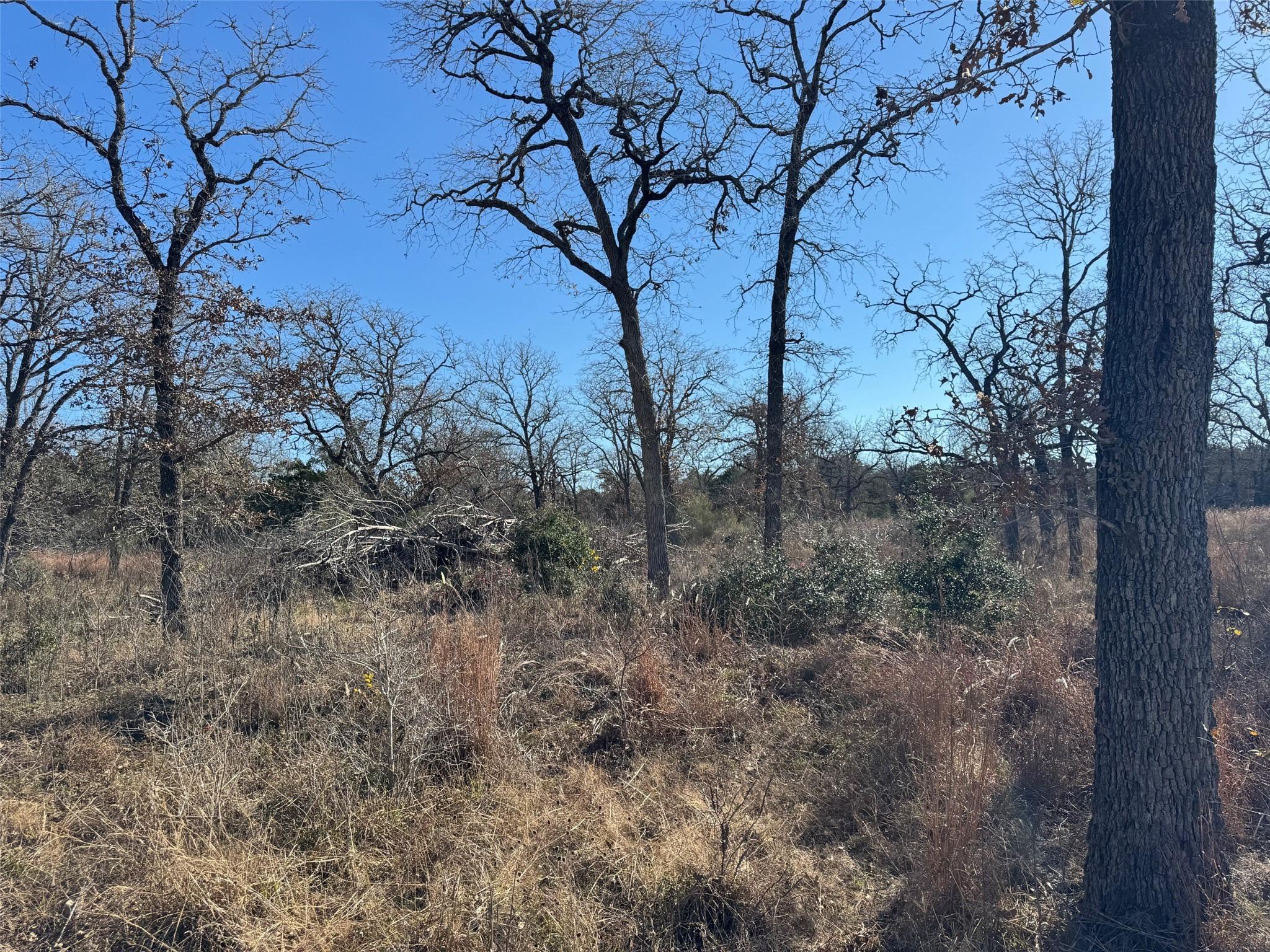 TBD Marjess DR, Cedar Creek, TX 78612