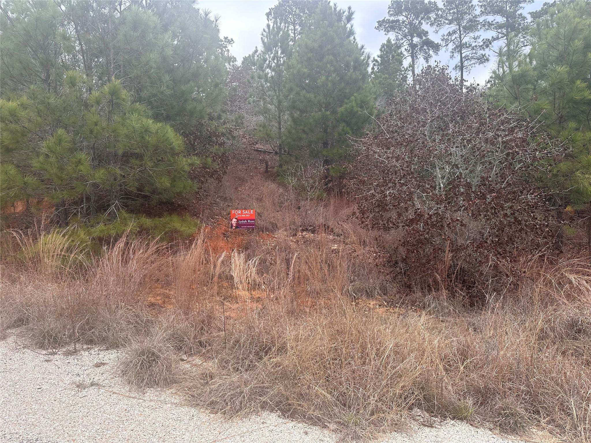 LOT 173 R32210 Keo Kea CT, Bastrop, TX 78602