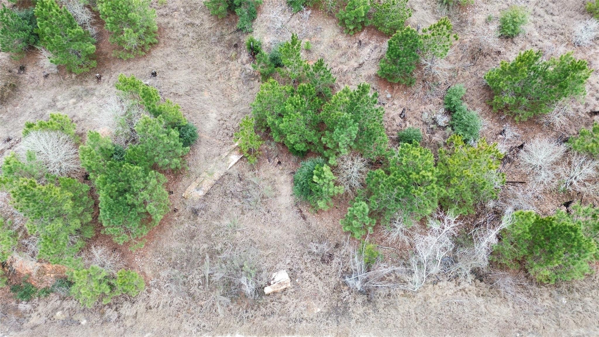 LOT 183 R32300 Keo Kea CT, Bastrop, TX 78602