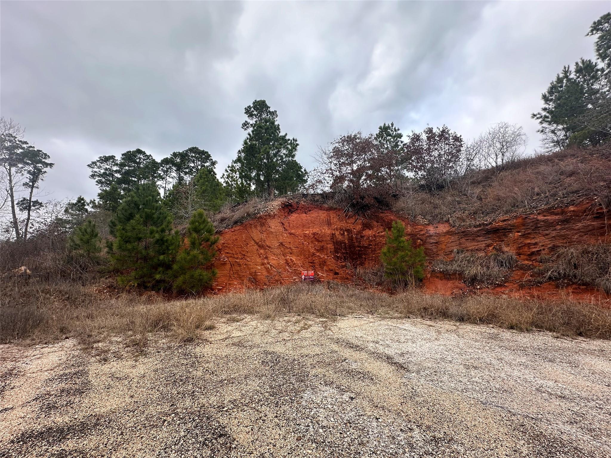 LOT 180 R32273 Keo Kea CT, Bastrop, TX 78602