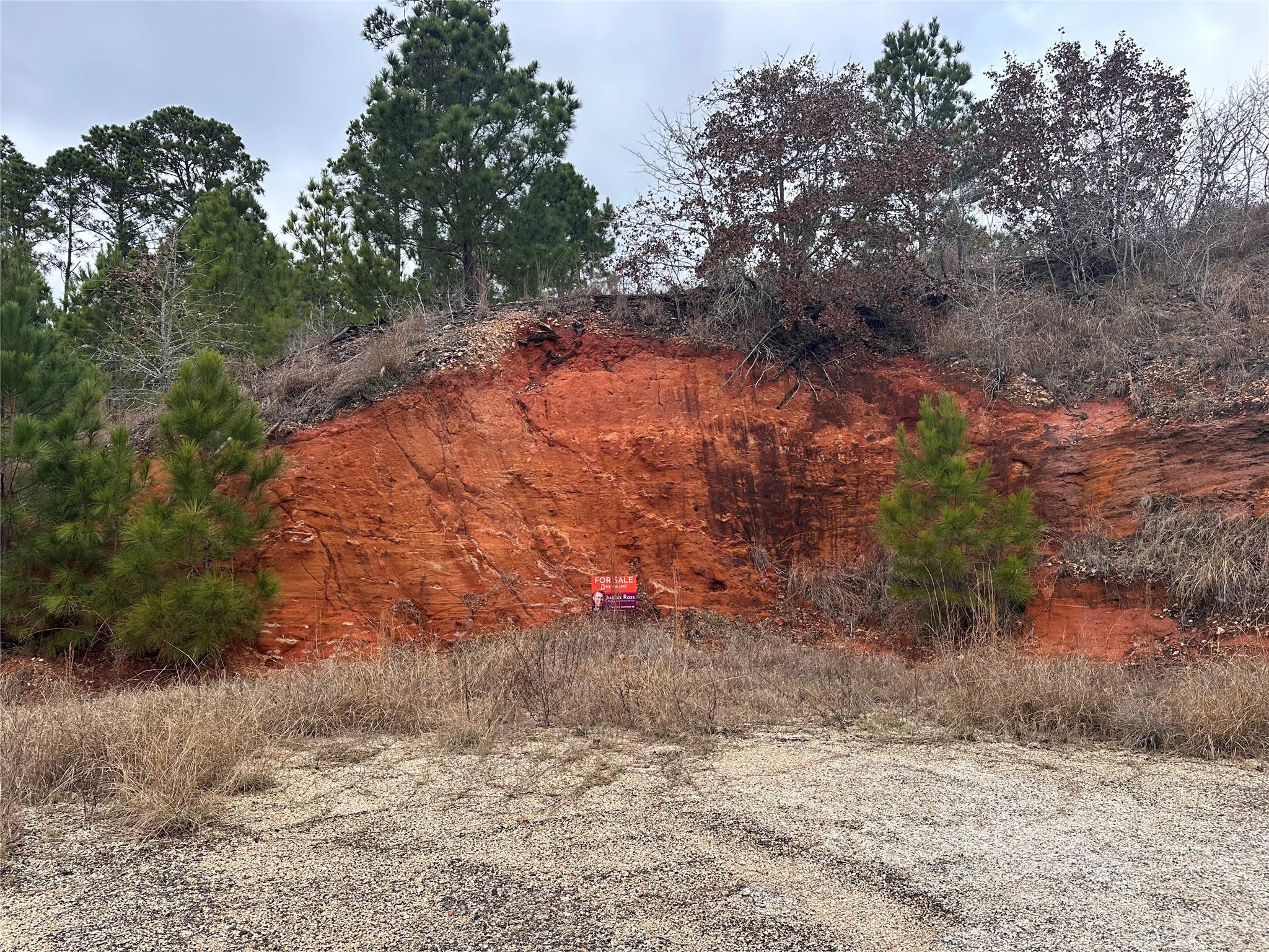 LOT 179 R32264 Keo Kea CT, Bastrop, TX 78602
