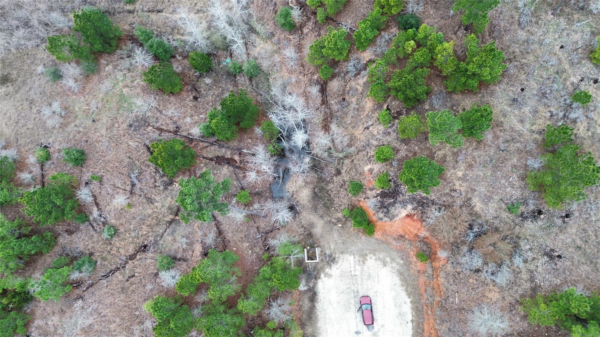 LOT 178 R32255 Keo Kea CT, Bastrop, TX 78602