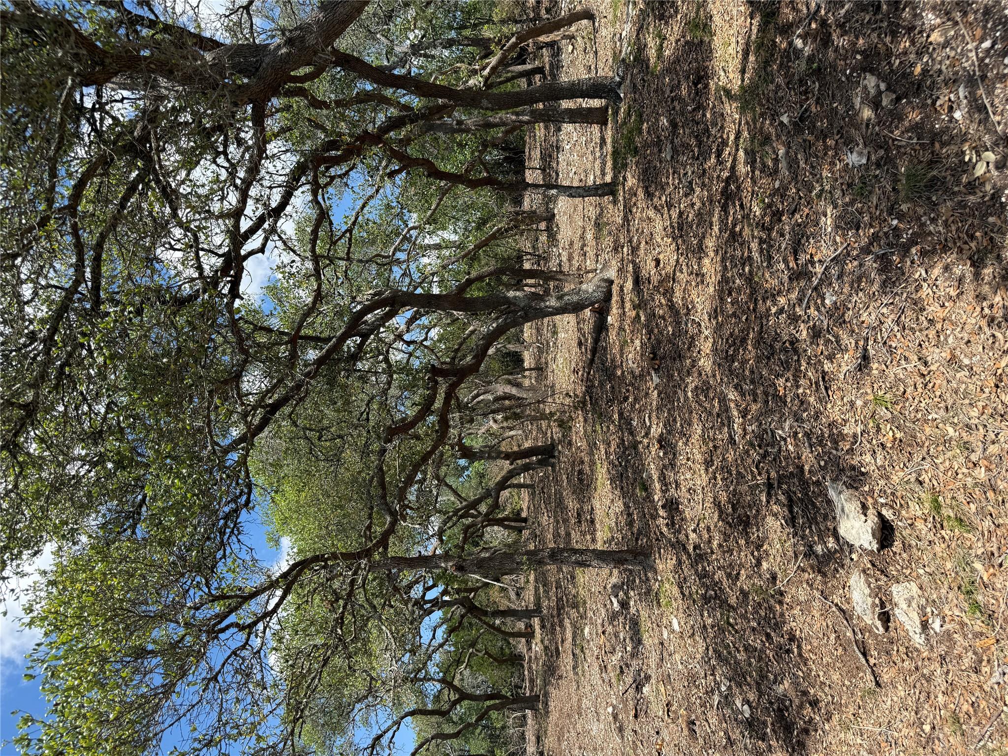 8.36 Acres Altwein RD, Blanco, TX 78606