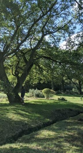 501 Texas Sky DR, Georgetown, TX 78628