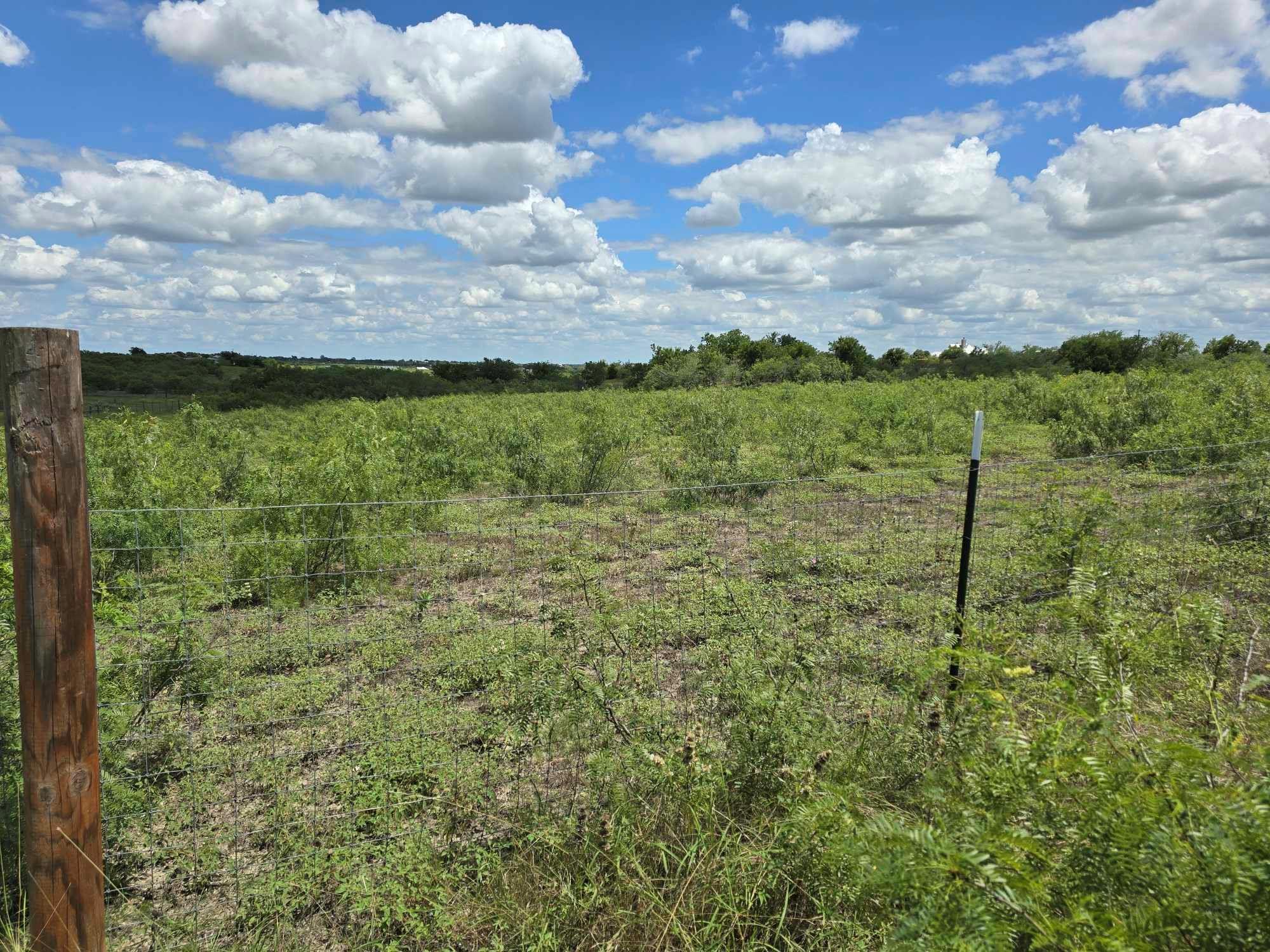 414 3g Ranch RD, Kyle, TX 78640