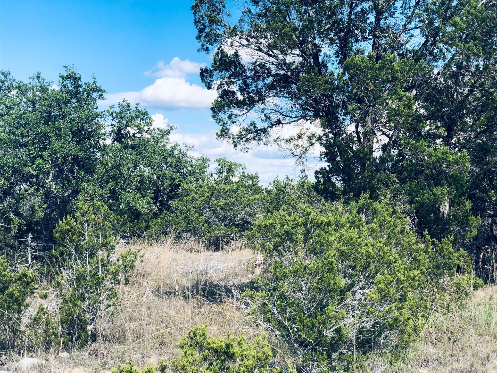 1020 Cliff Circle DR, Spring Branch, TX 78070
