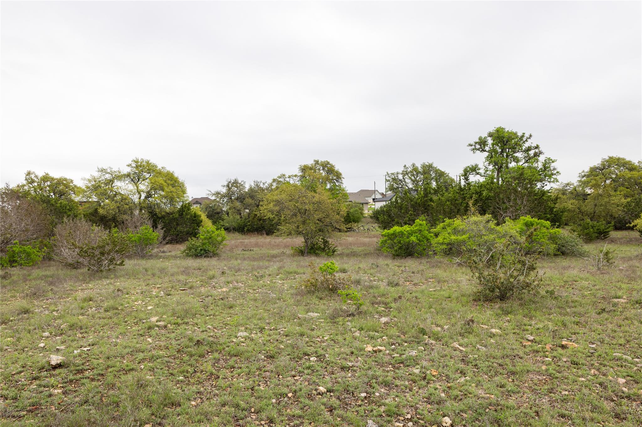 TBD Logan's Way, Blanco, TX 78606