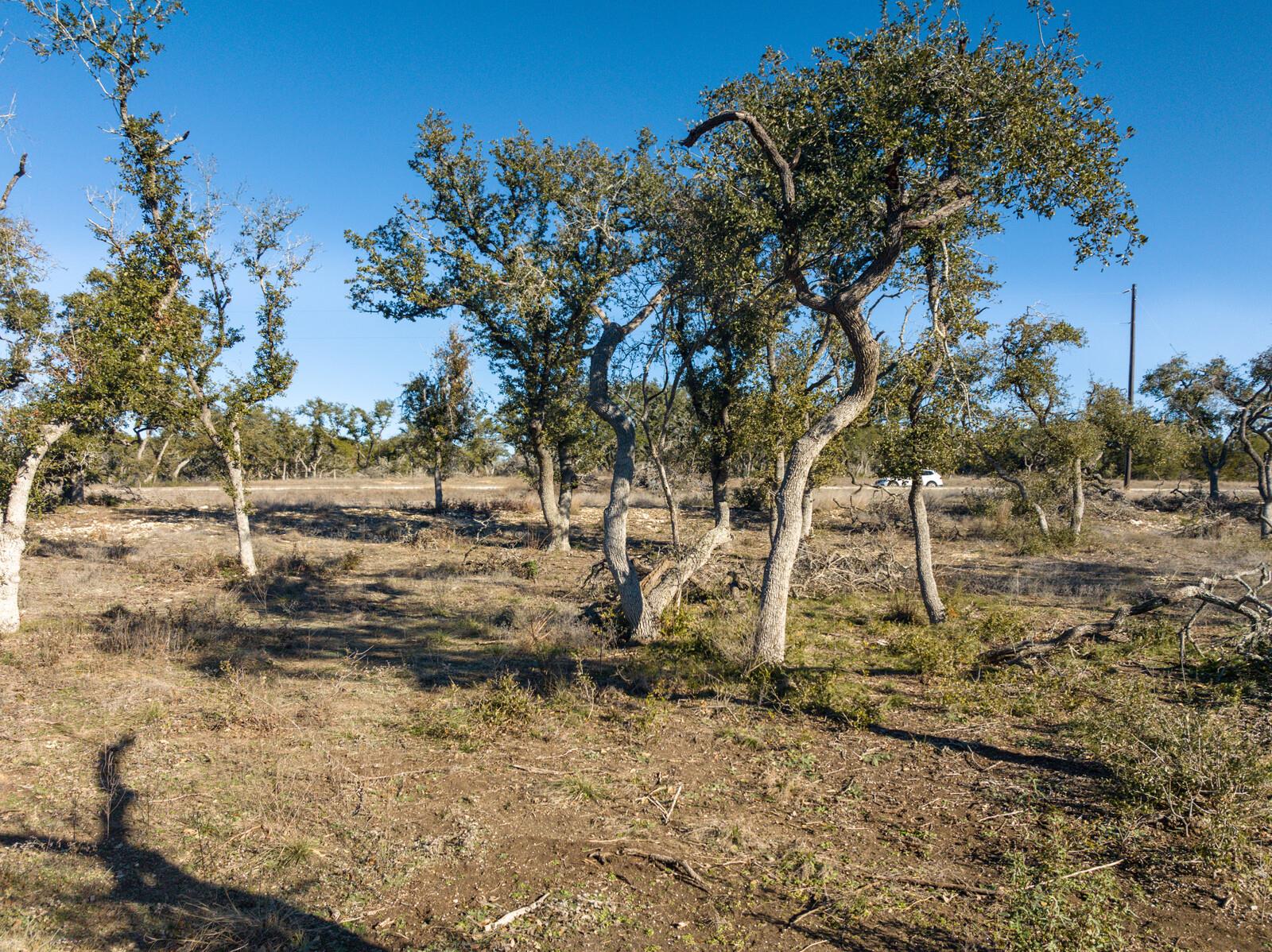 642 Windmill Ridge DR, Blanco, TX 78606