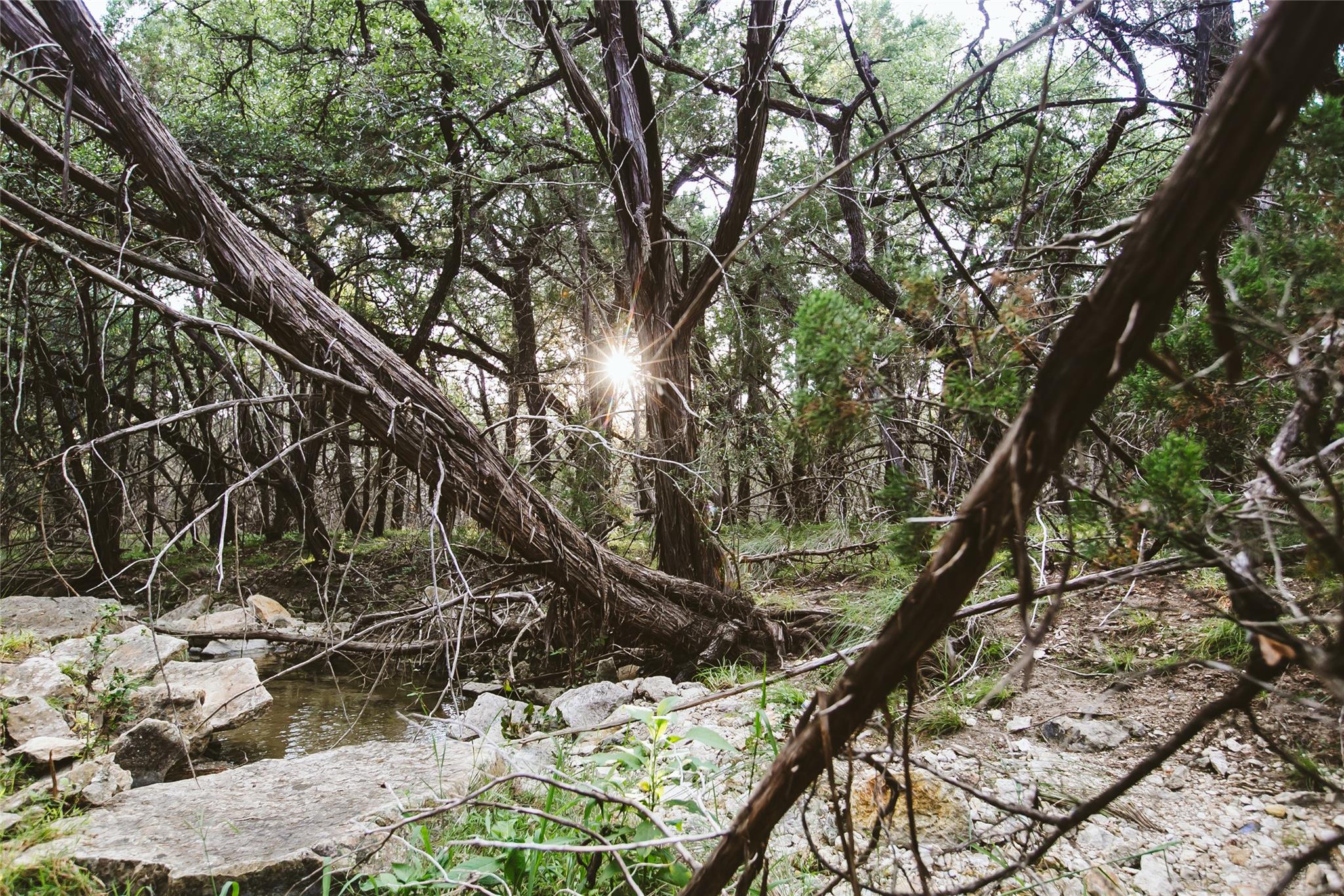 806 Bell Springs RD, Dripping Springs, TX 78620