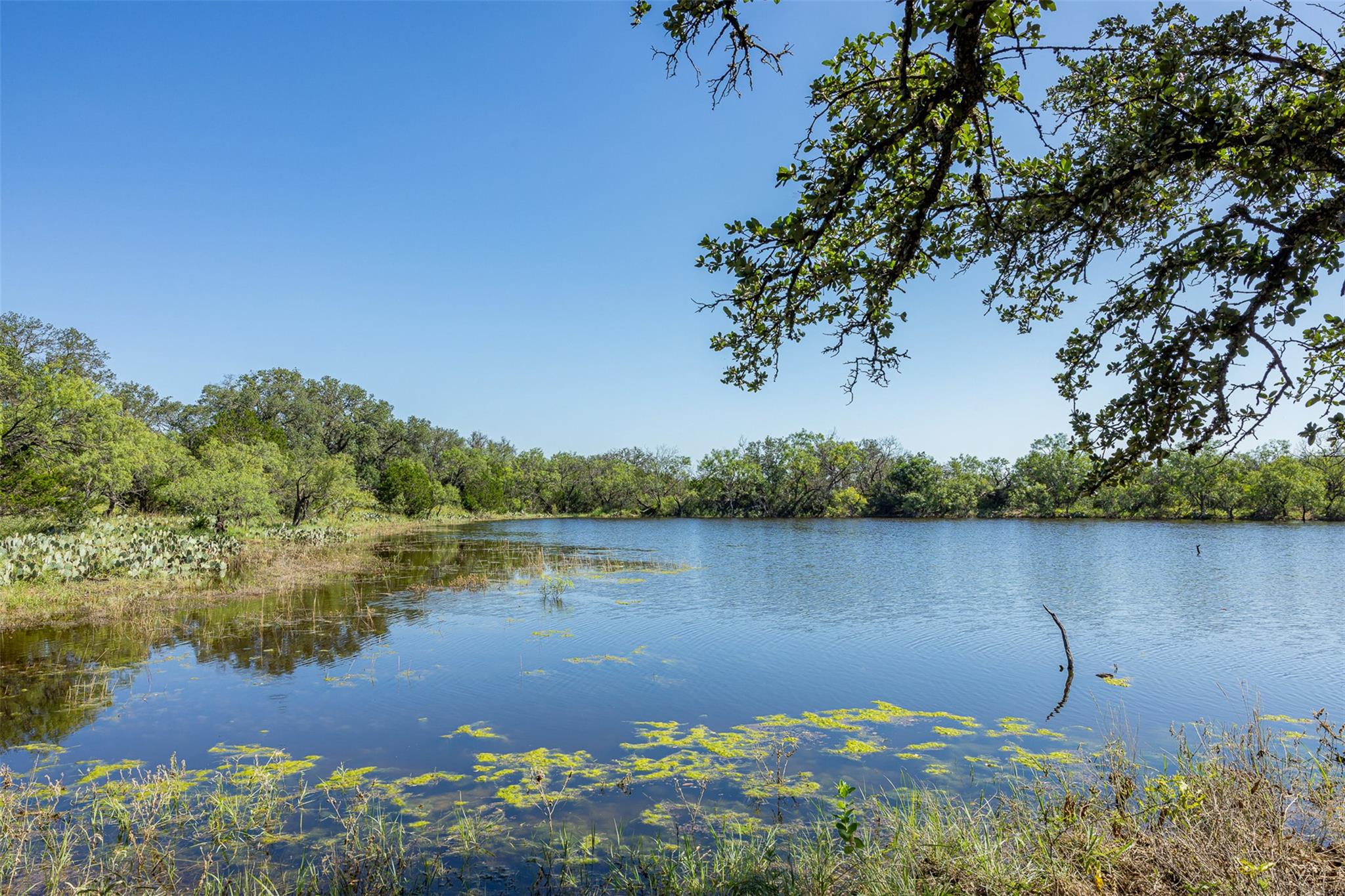 2050 W 17th ST, Brady, TX 76825