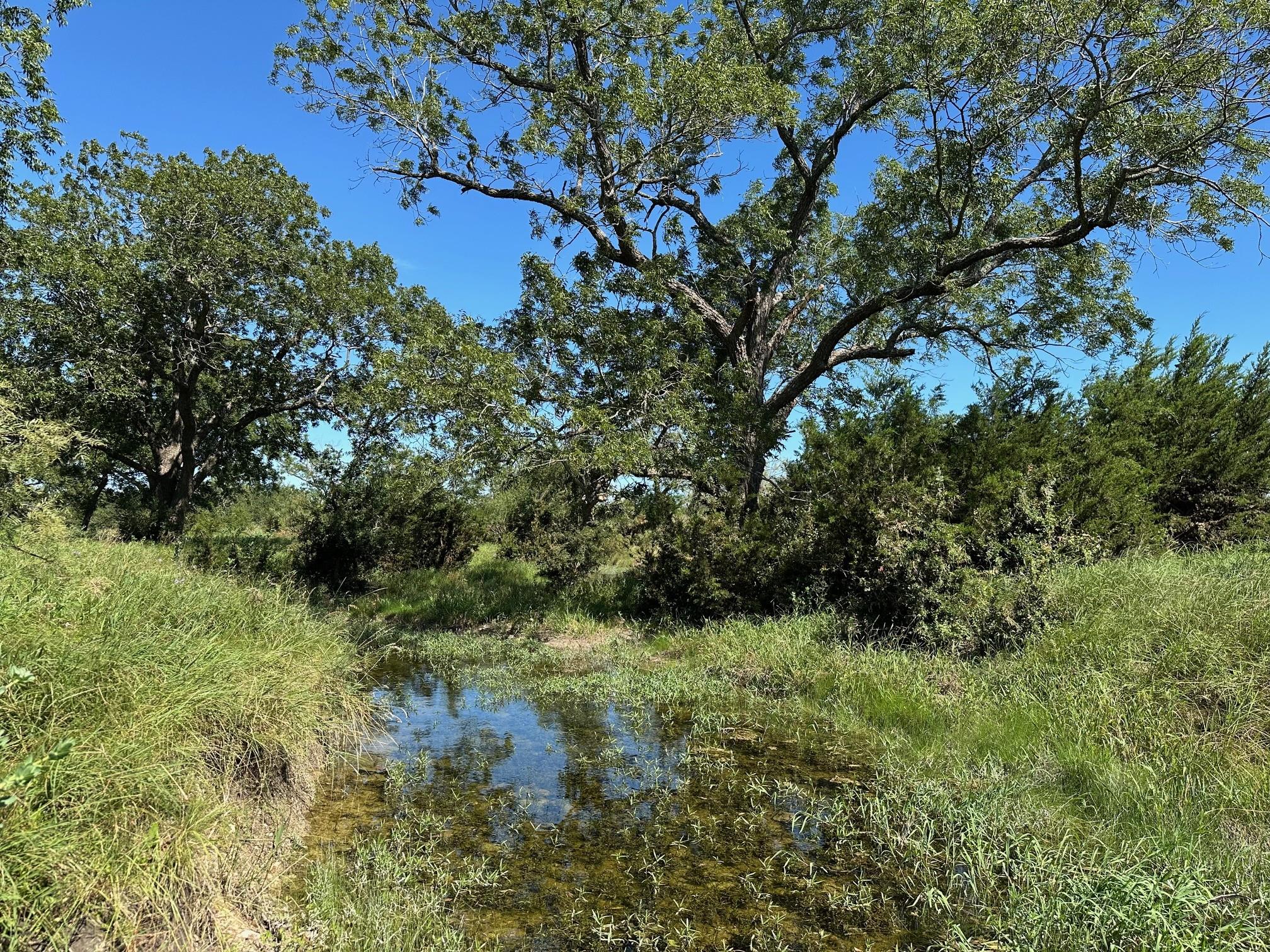 tbd County Road 330, Bertram, TX 78605
