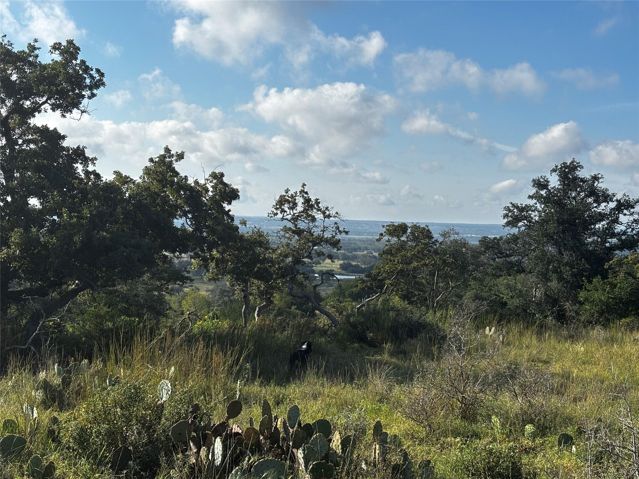 0 Calle Del Sol DR, Fredericksburg, TX 78624