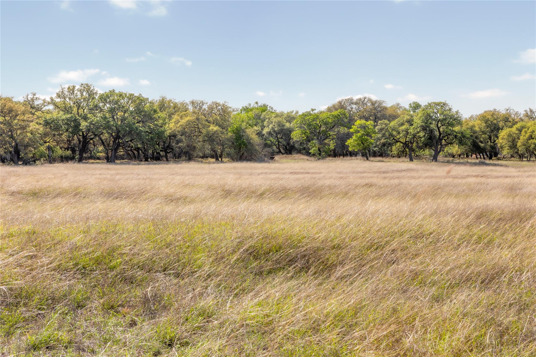 9695 W Us 290 Hw, Hye, TX 78635